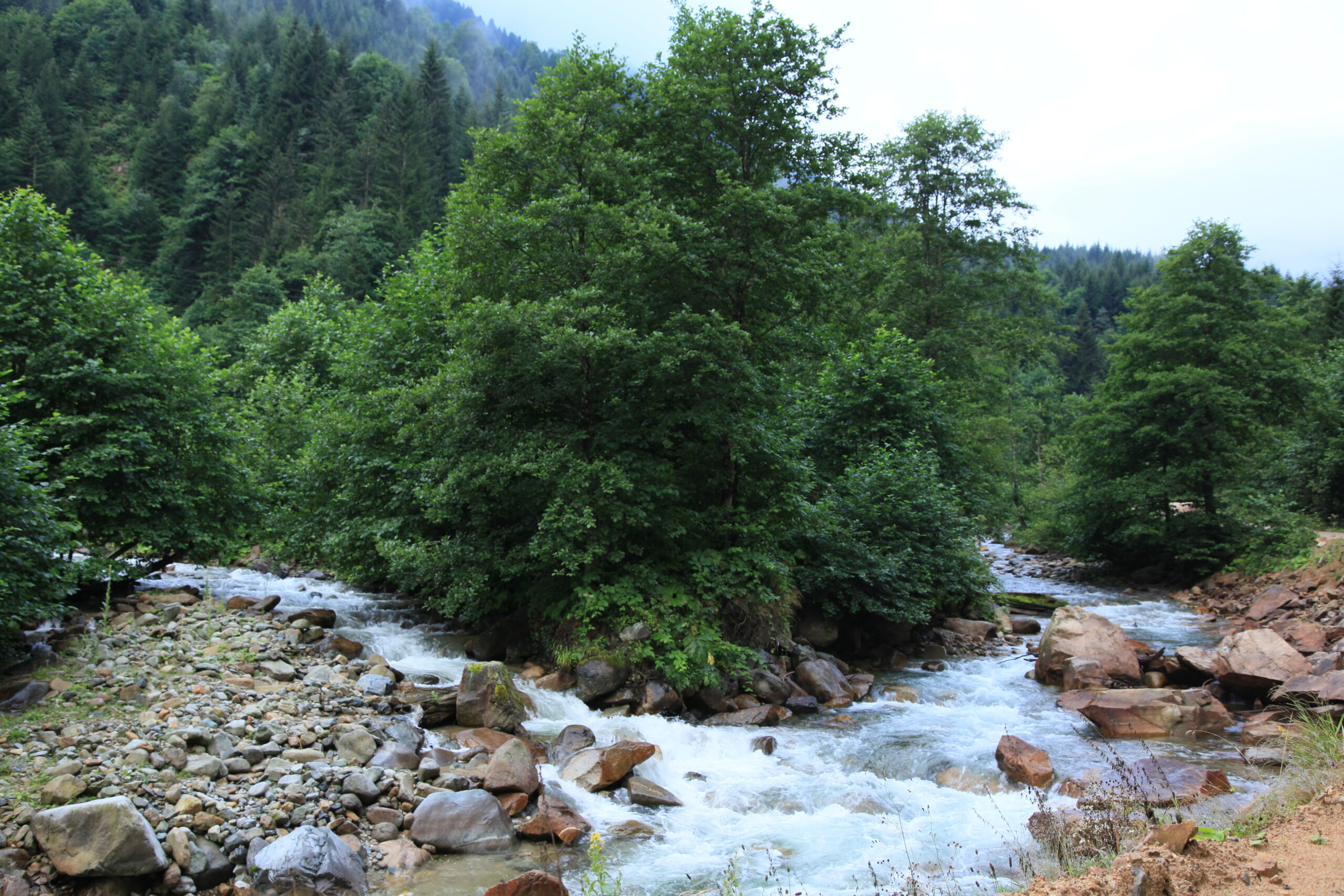 İkinci Volümde Yapay Kurmaca ile Gerçek Kurmaca