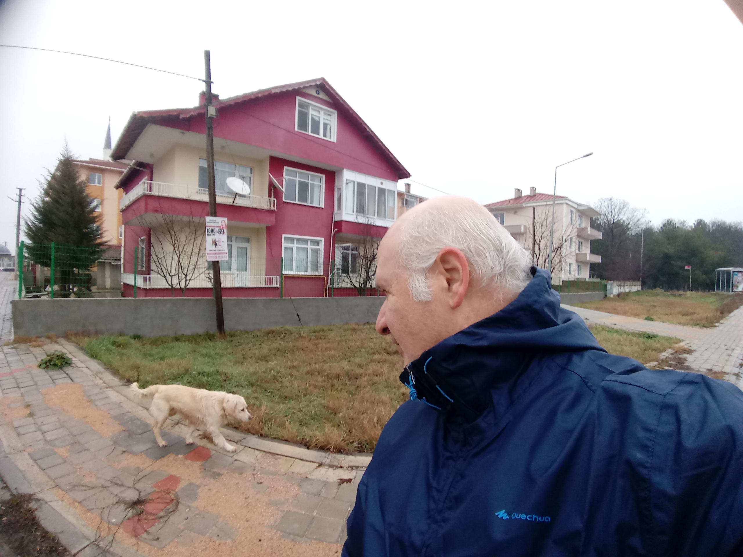 hAVhAV Dizisi~2: Fiske Vurmaktan Kaçınırım… Ama Hangi Köpeğe?