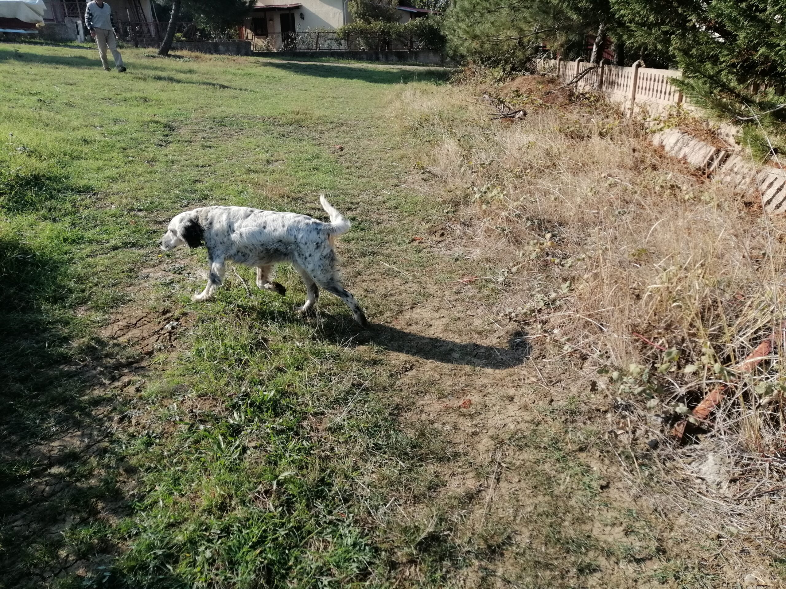 hAVhAV Dizisi~4: Eğer Bağırır Çağırırsam Belki Bana Kulak Verir