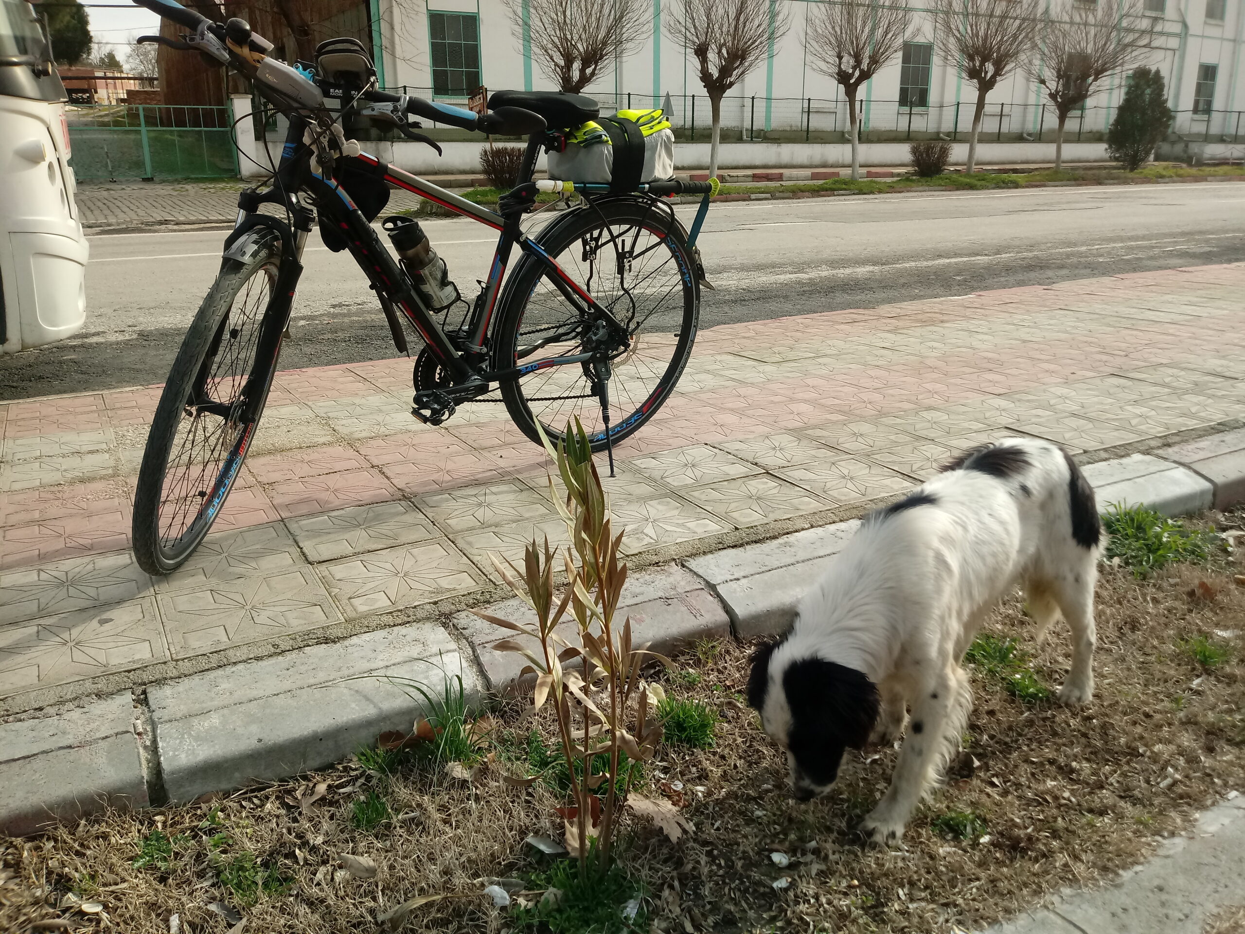 hAVhAV Dizisi~5: Eğer Susamışsa Su Tabancası da İşe Yarayabilir