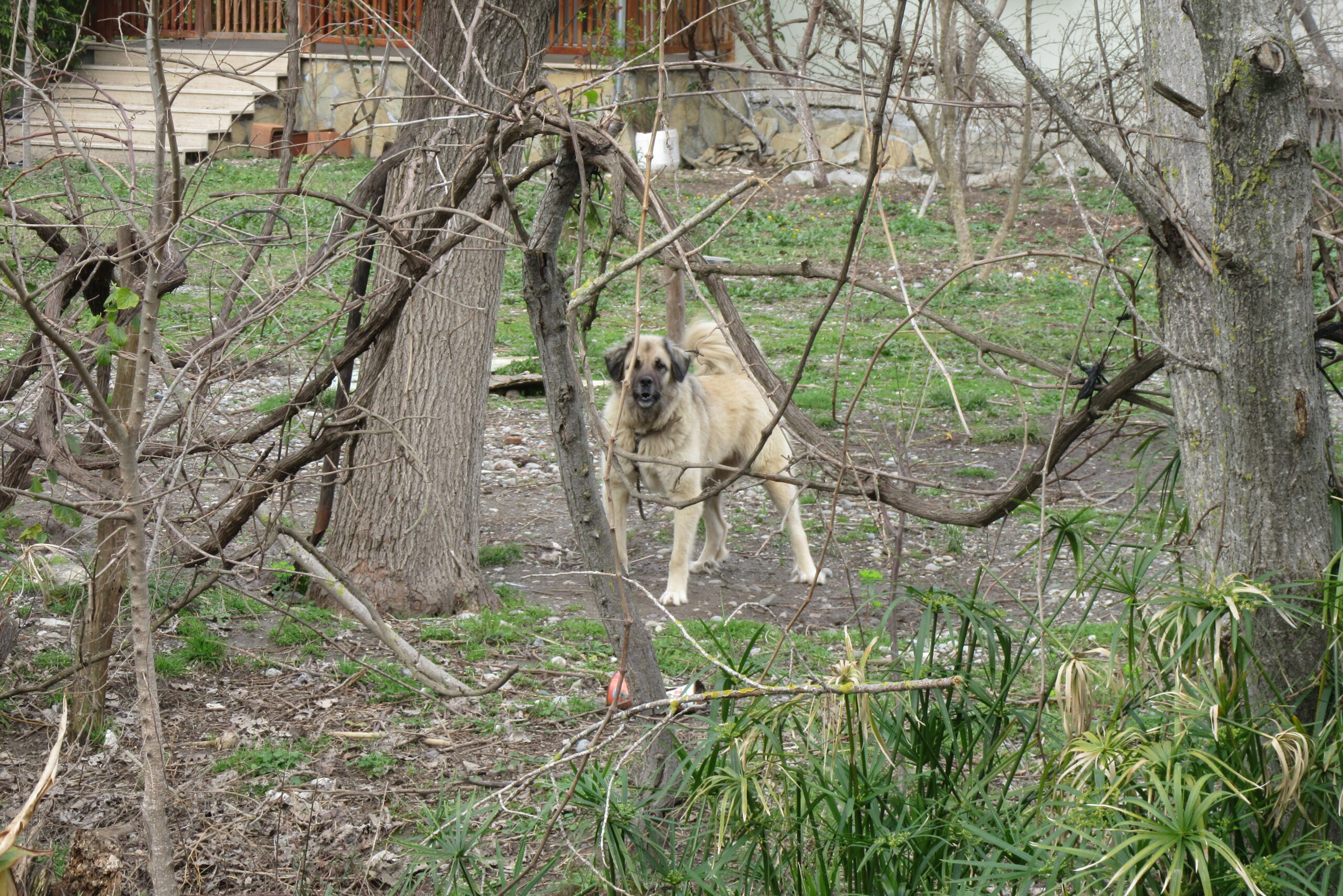hAVhAV Dizisi~7: Pardone Mua, Bisikletimin Tepesinde Canıma Kıymak İstemem