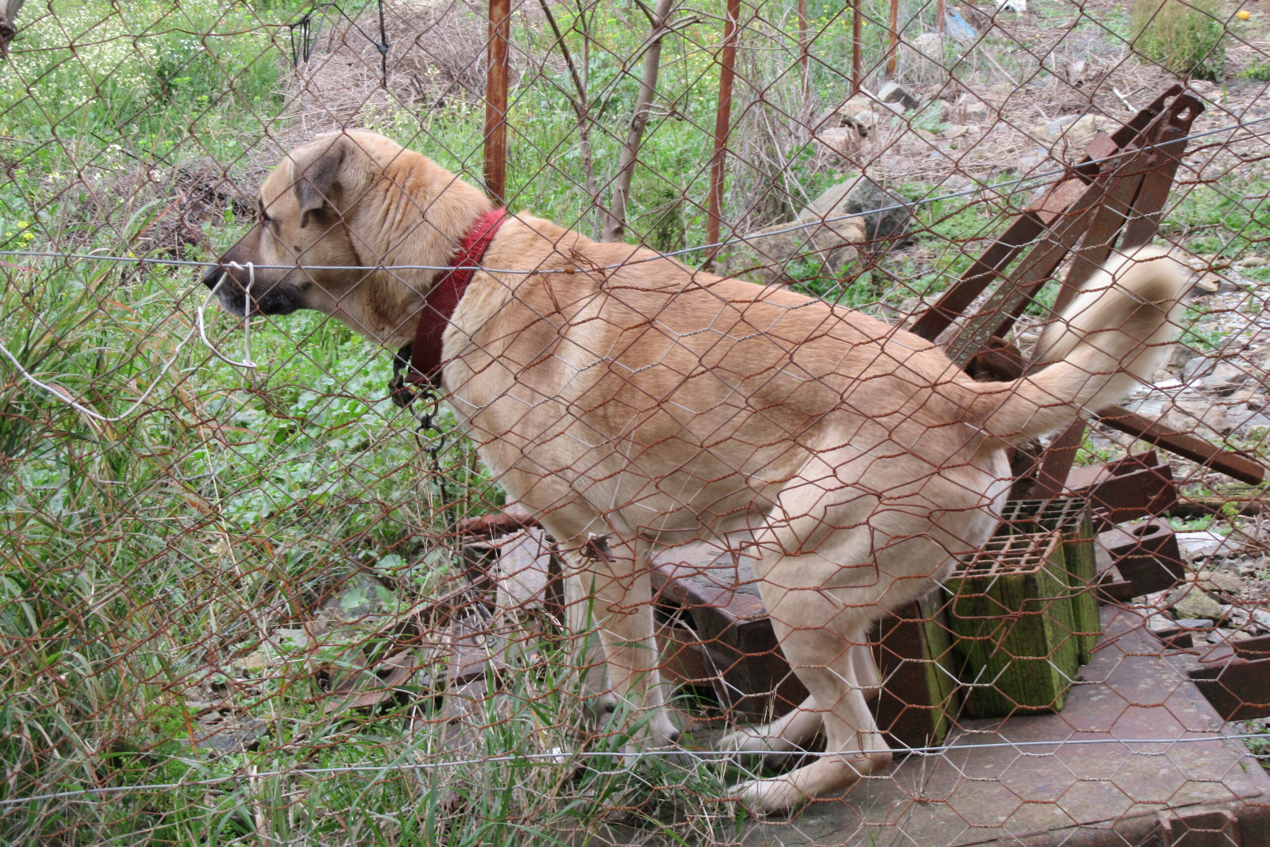 hAVhAV Dizisi~8: Bir Ateistin Dua Bilmesi Beklenemez; Öyleyse!?