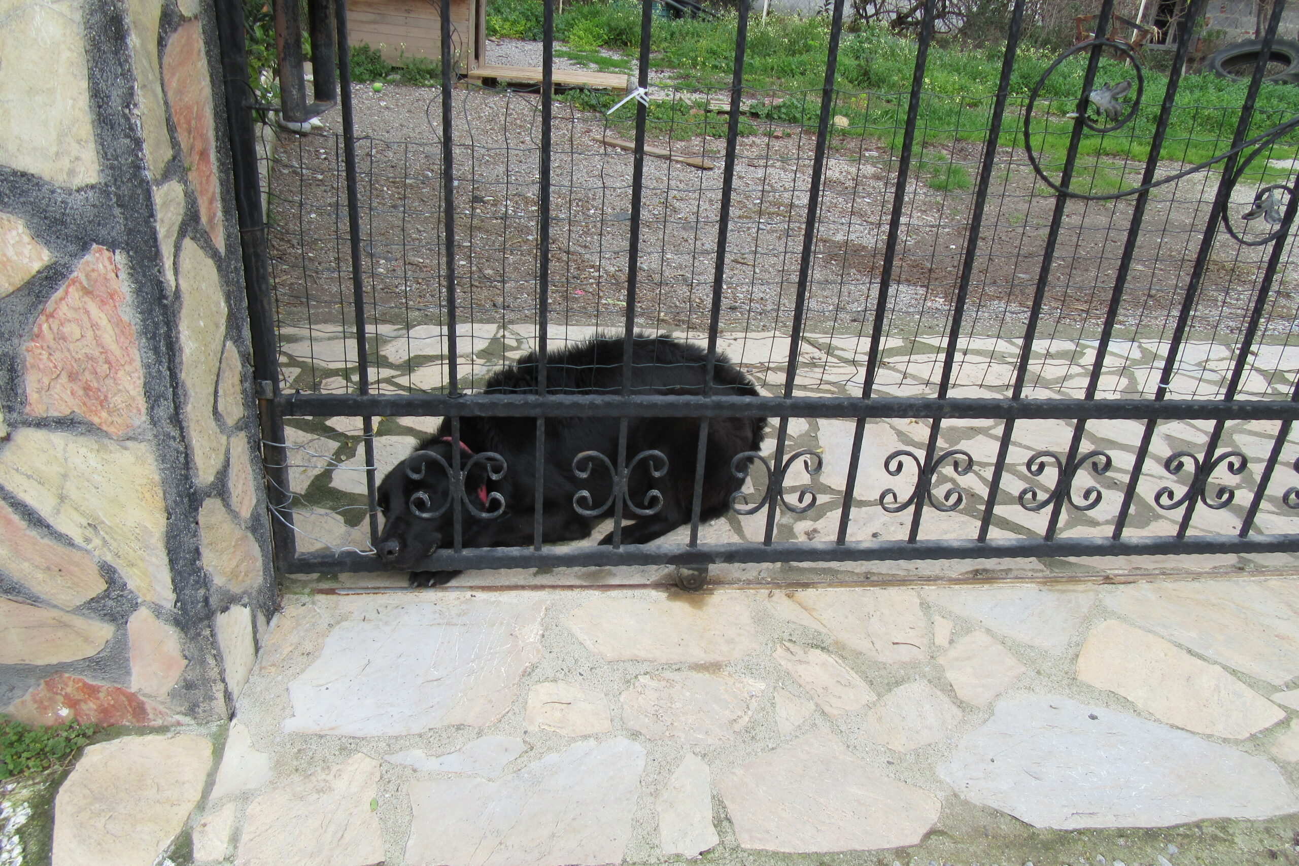 hAVhAV Dizisi~11: Veee Hiç Kuşku Yok ki Oyunun Kazananı…