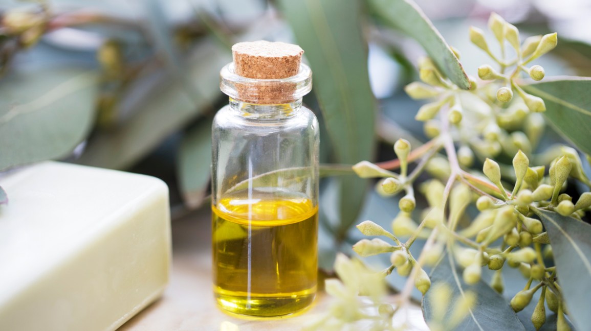 Kenelere Karşı En Şaheser En Etkili Bitkisel Yağ