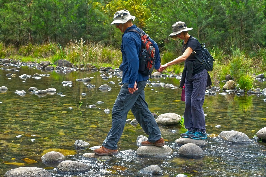 Güneşten Kaçanlar Aloe Vera Sapını Bile Yanık Sanır