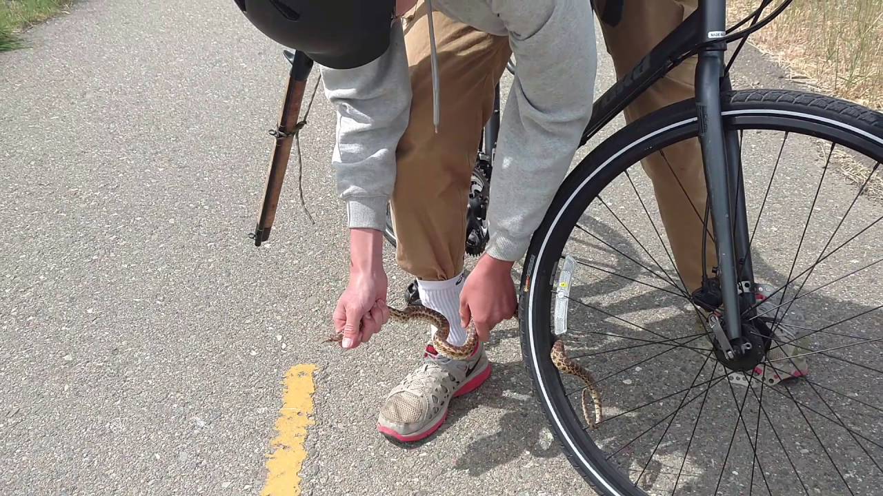 Bak Belgesel İzliyordum Yılan Çıkınca Hemen Aklıma Sen Geldin