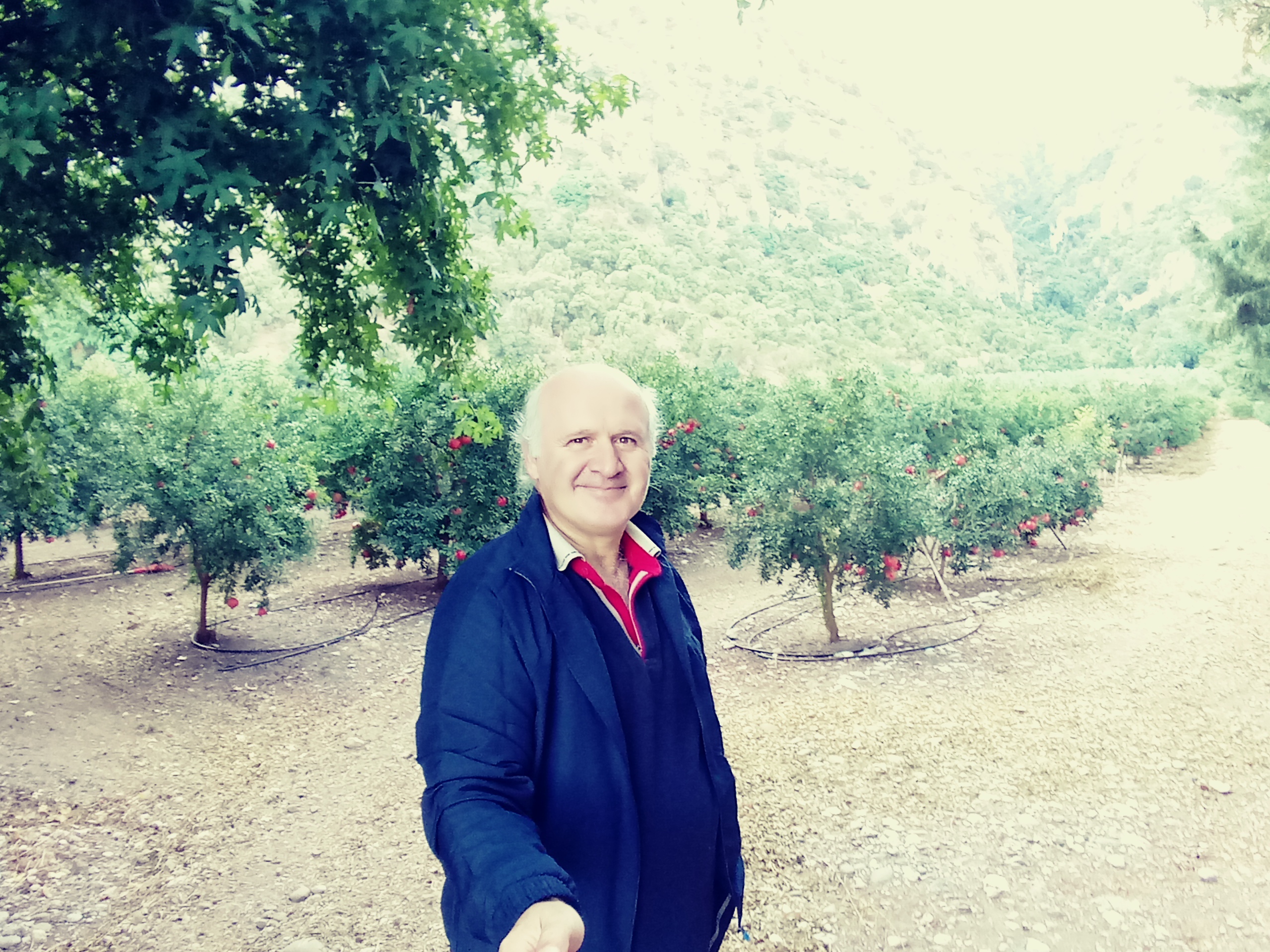 Hayatın Yol Anahtarı