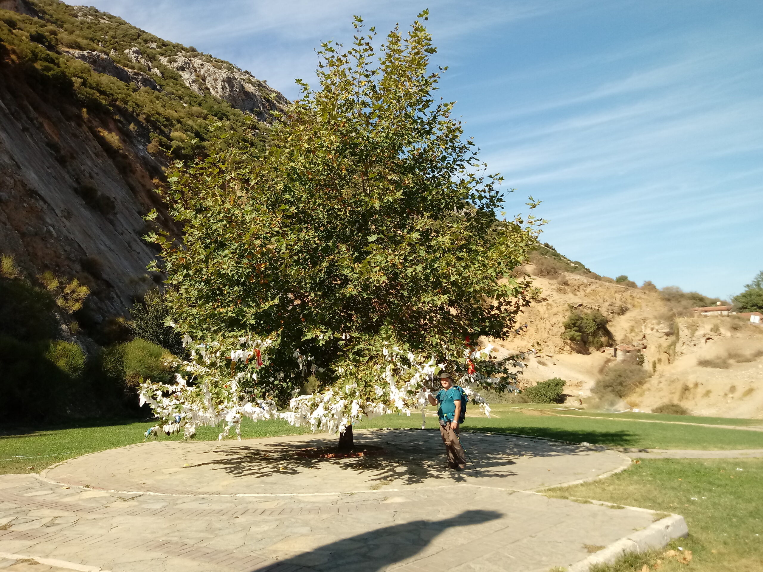 Gece Yarısı Hayaller