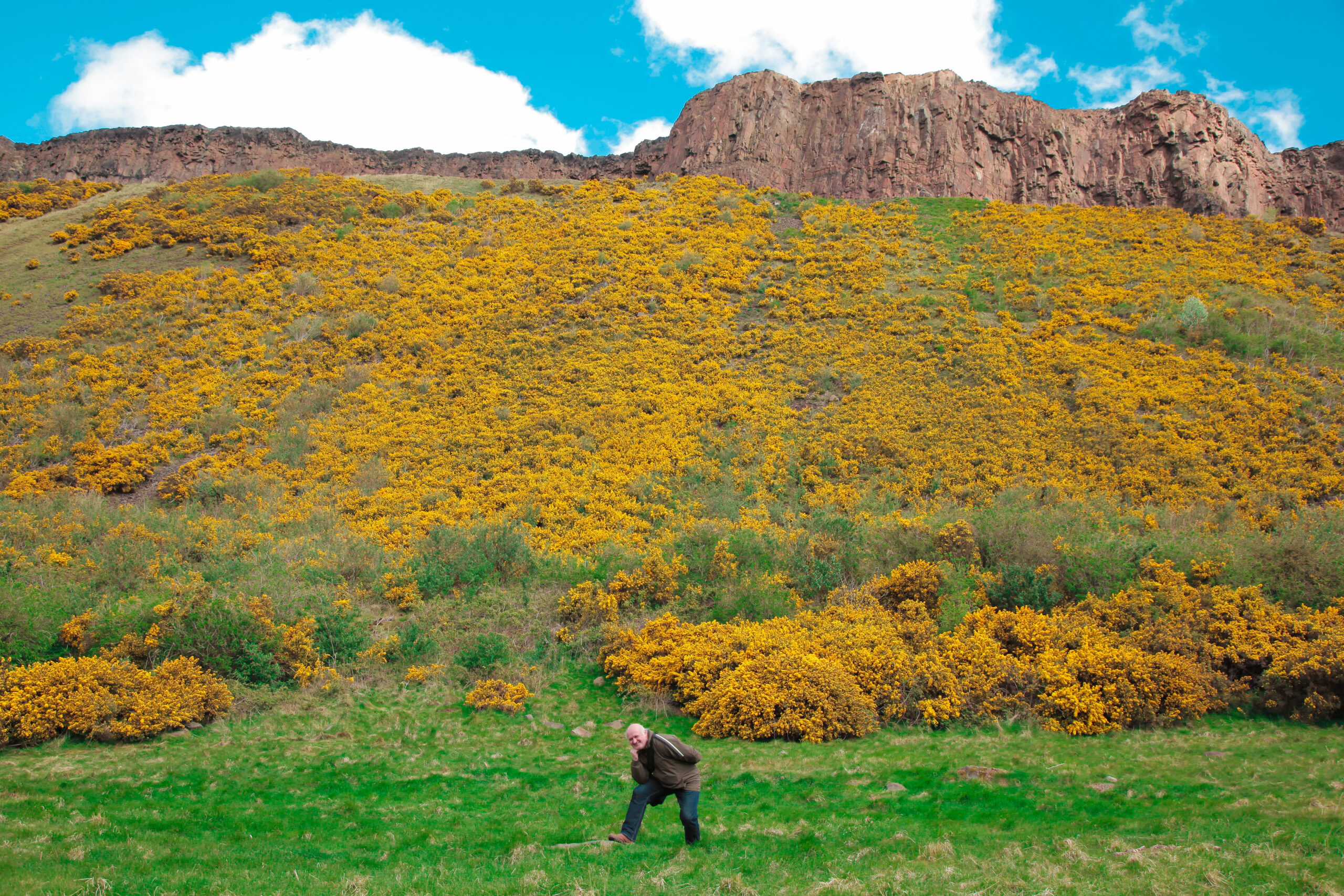 Başka Bir Dünya Hayal Değil