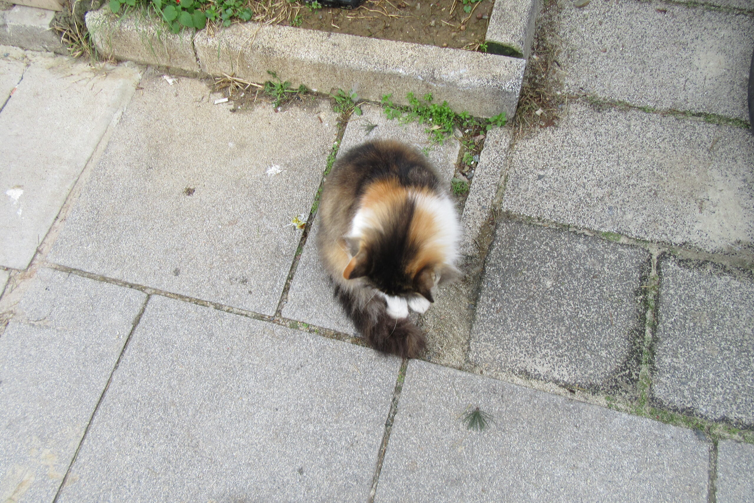 Ya Bir de Sınırsız Depolama Alanımız Tükenirse