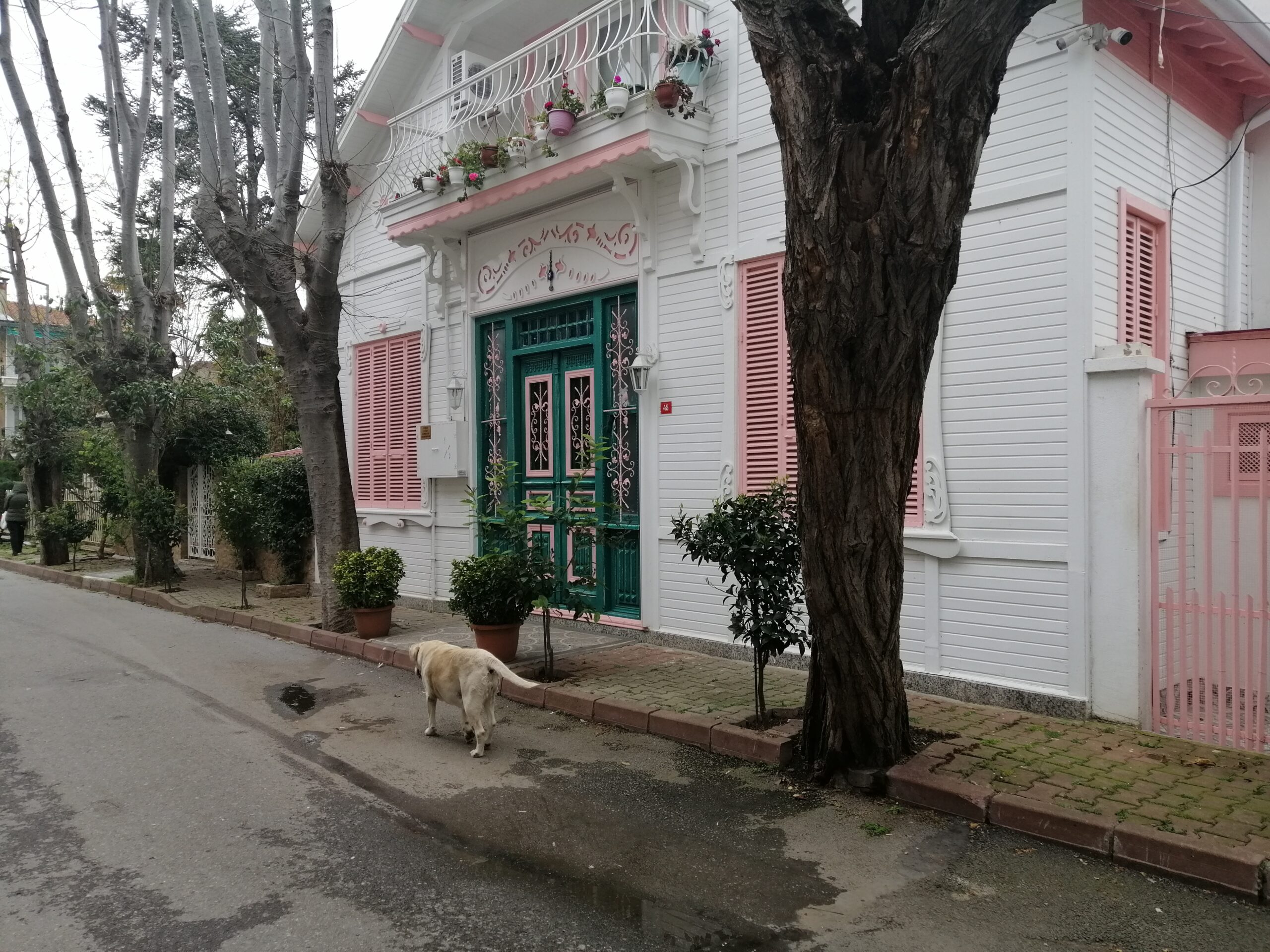 Doğaya Kaçanların Koşturmaca Kahkahası