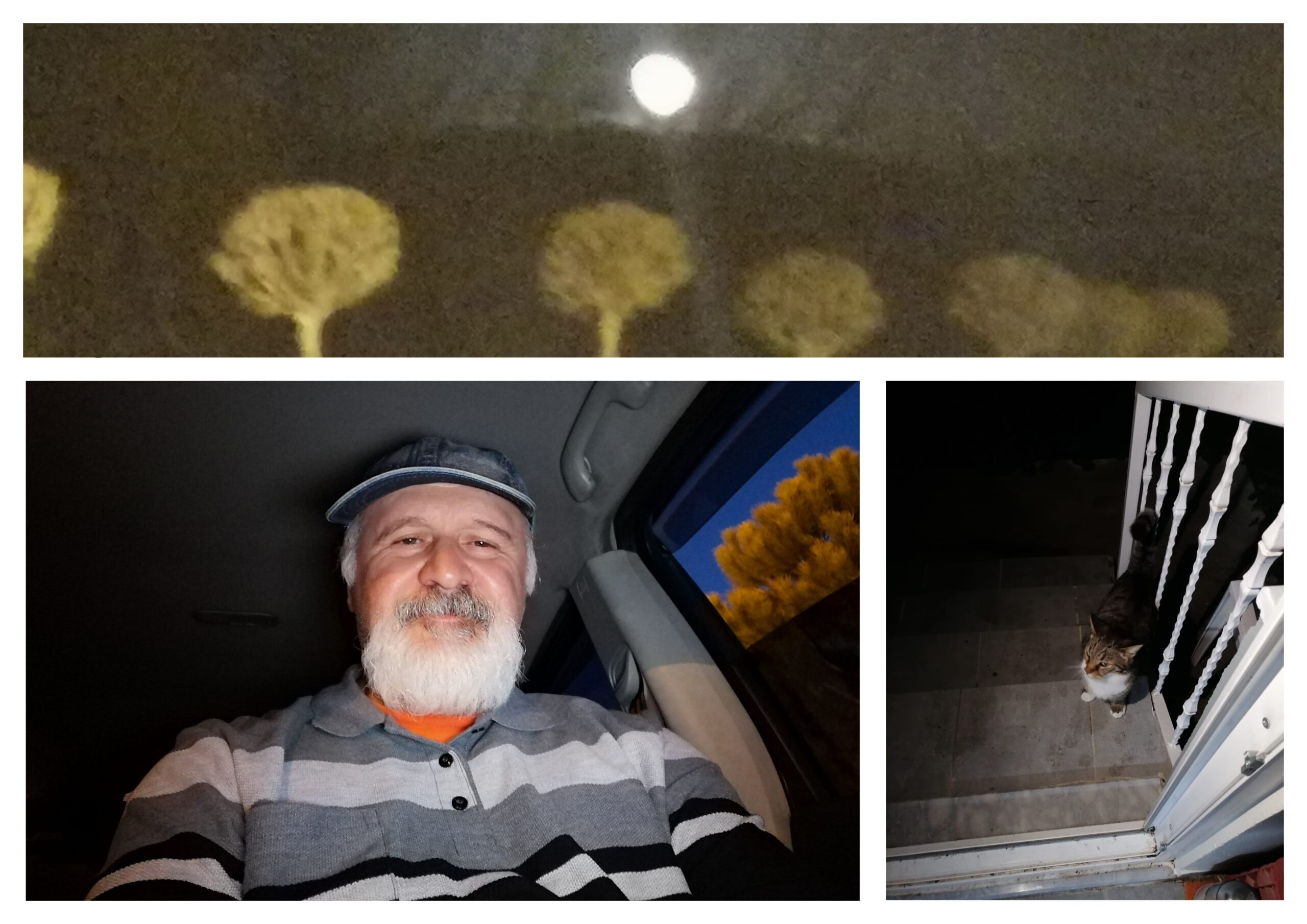 O Gece Ne Çok Yıldız Kaymıştı