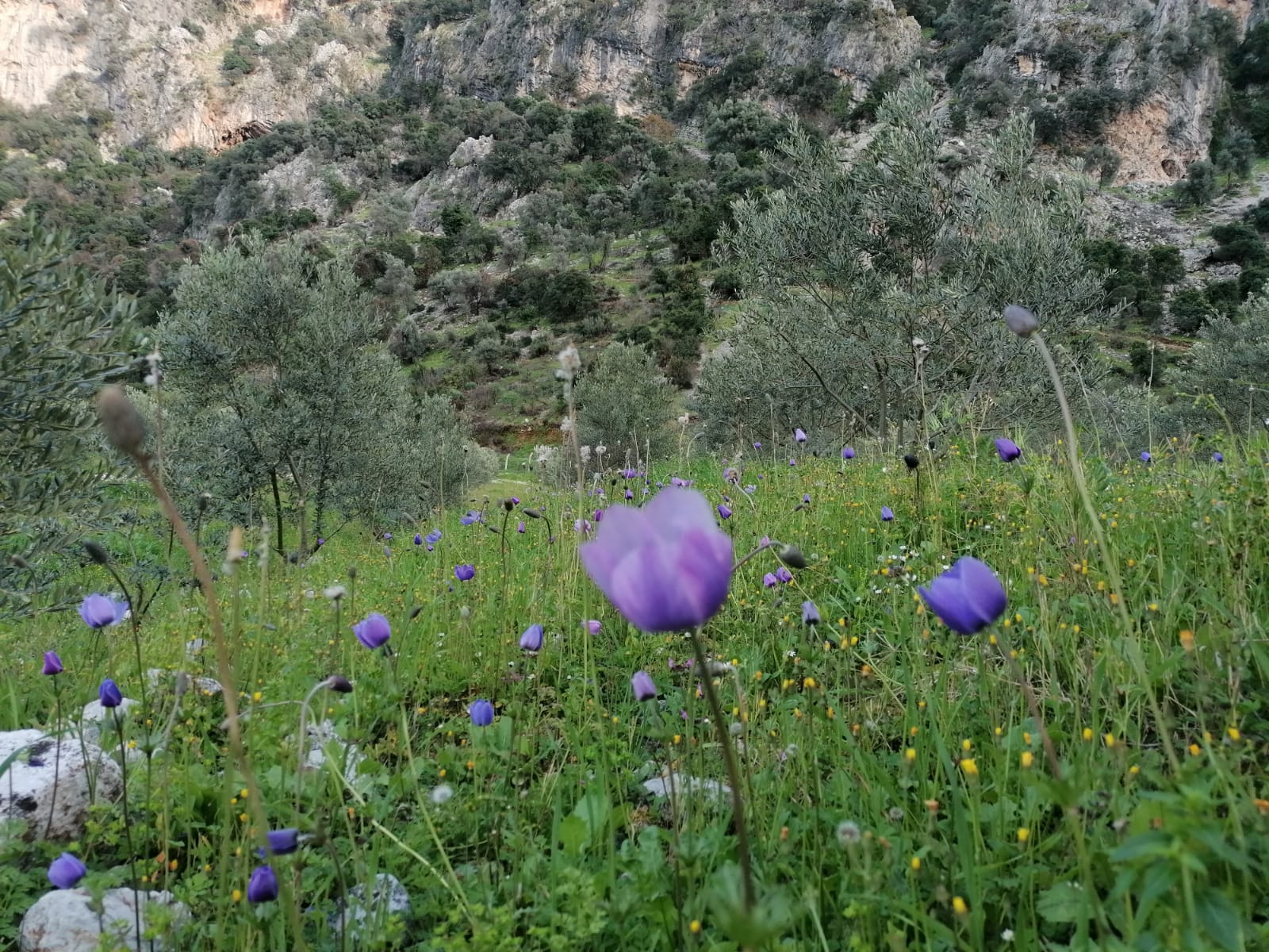 Her Şey Uçuşuyor Belirsizlikler İçinde