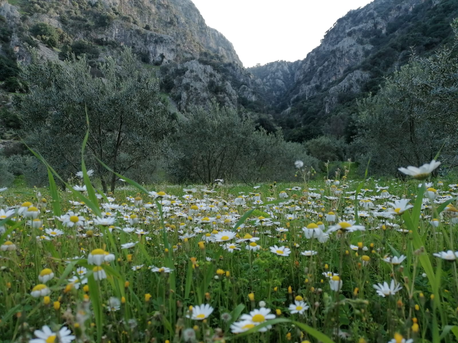 İşte O Zaman Bütün Aşklar Geçecek