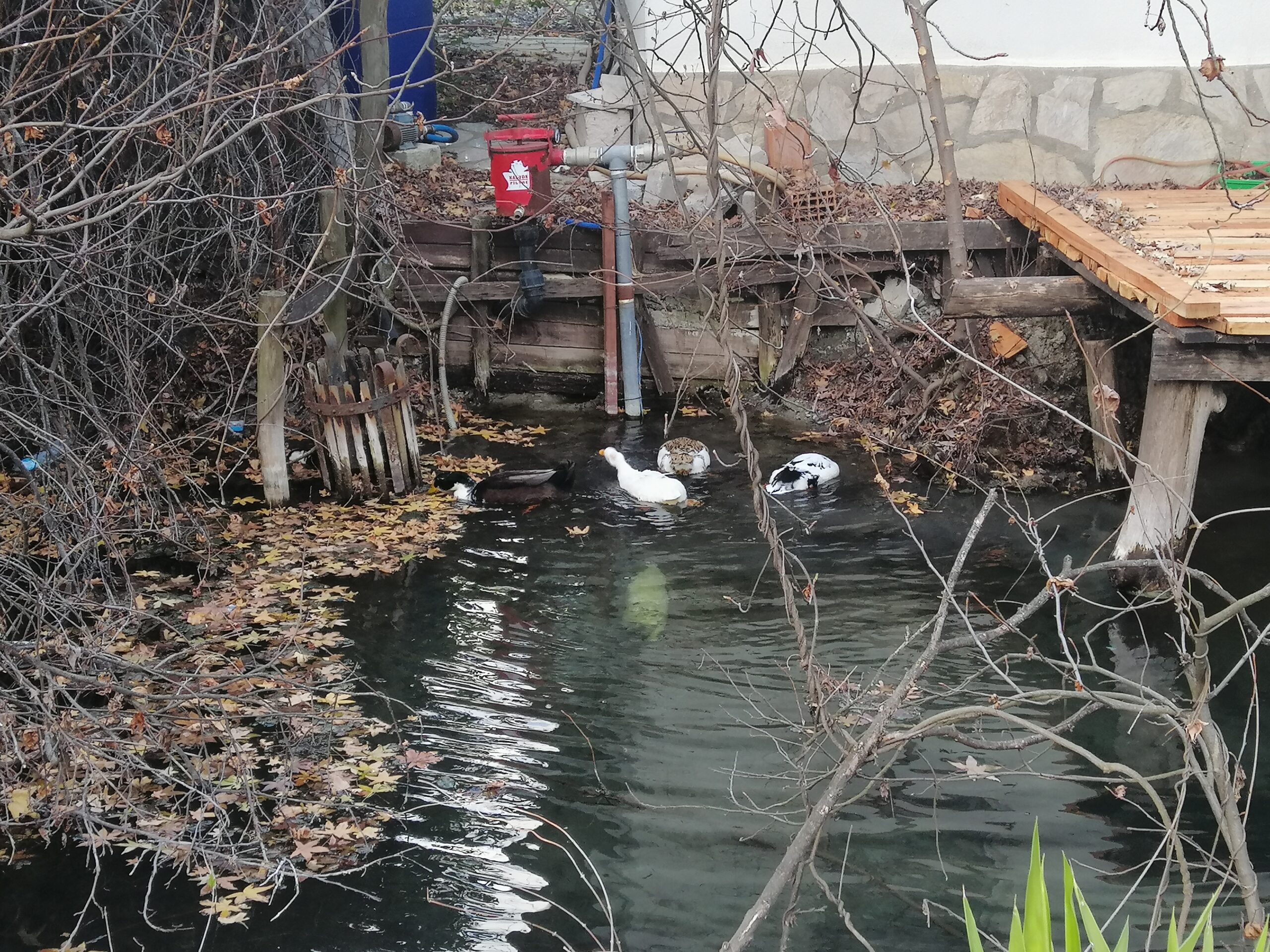 Balıkçılar Kahvesinde Tuhaf Bir Sessizlik
