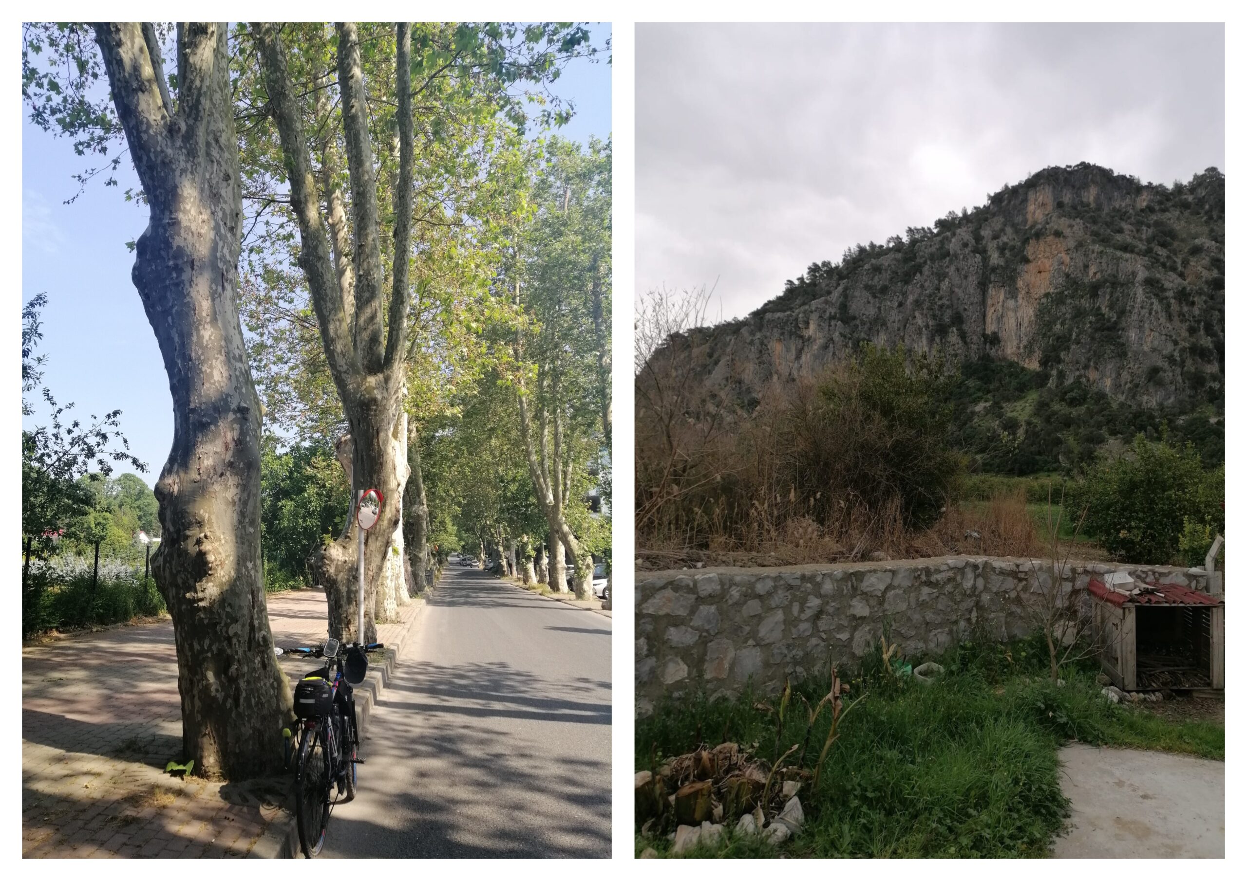 Kırgın Ağaçlara Rastladık Onarmalı Gönülleri