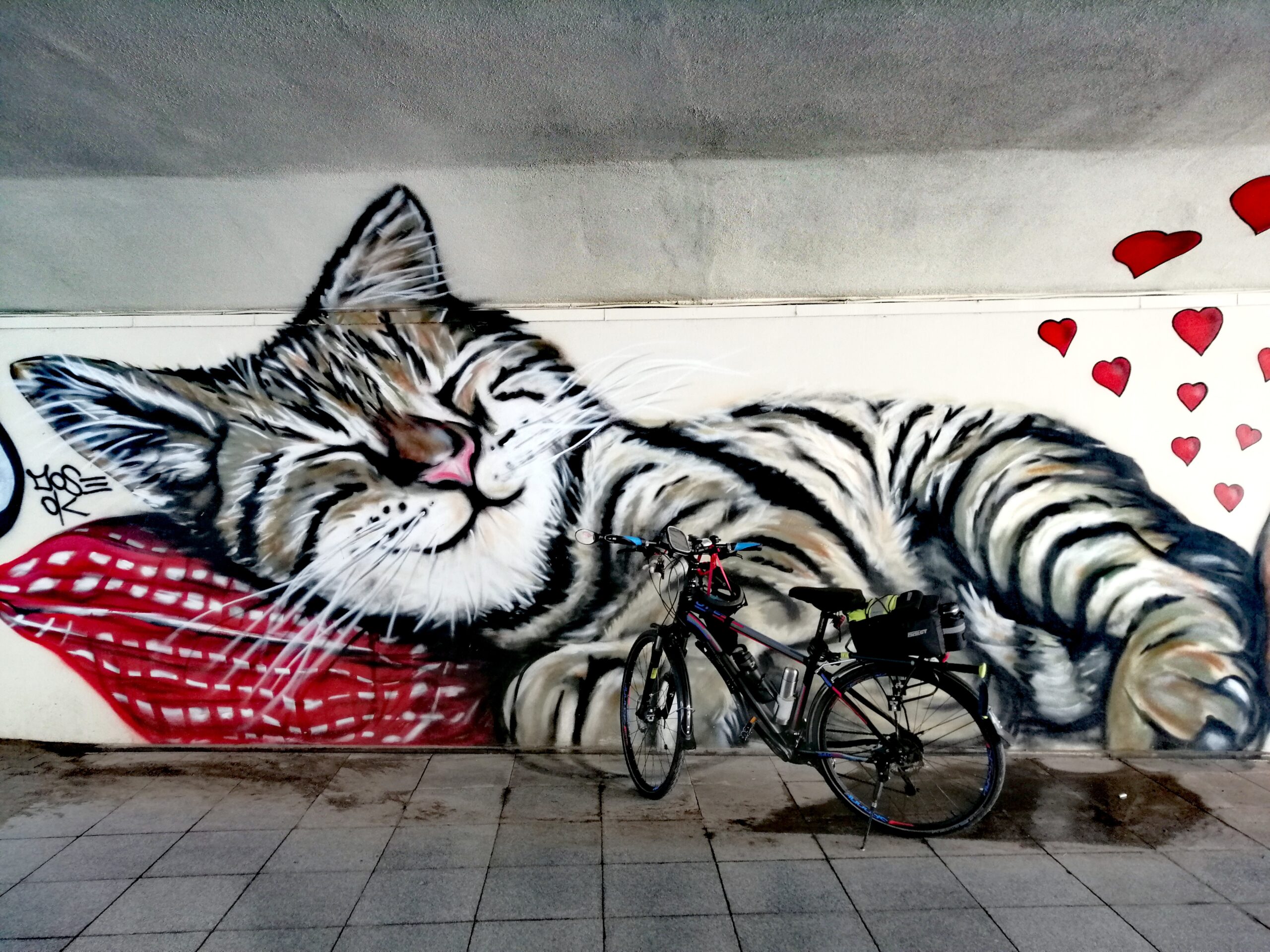 Bir Kez Daha Annemle Buluşmaya ~ İçerenköy