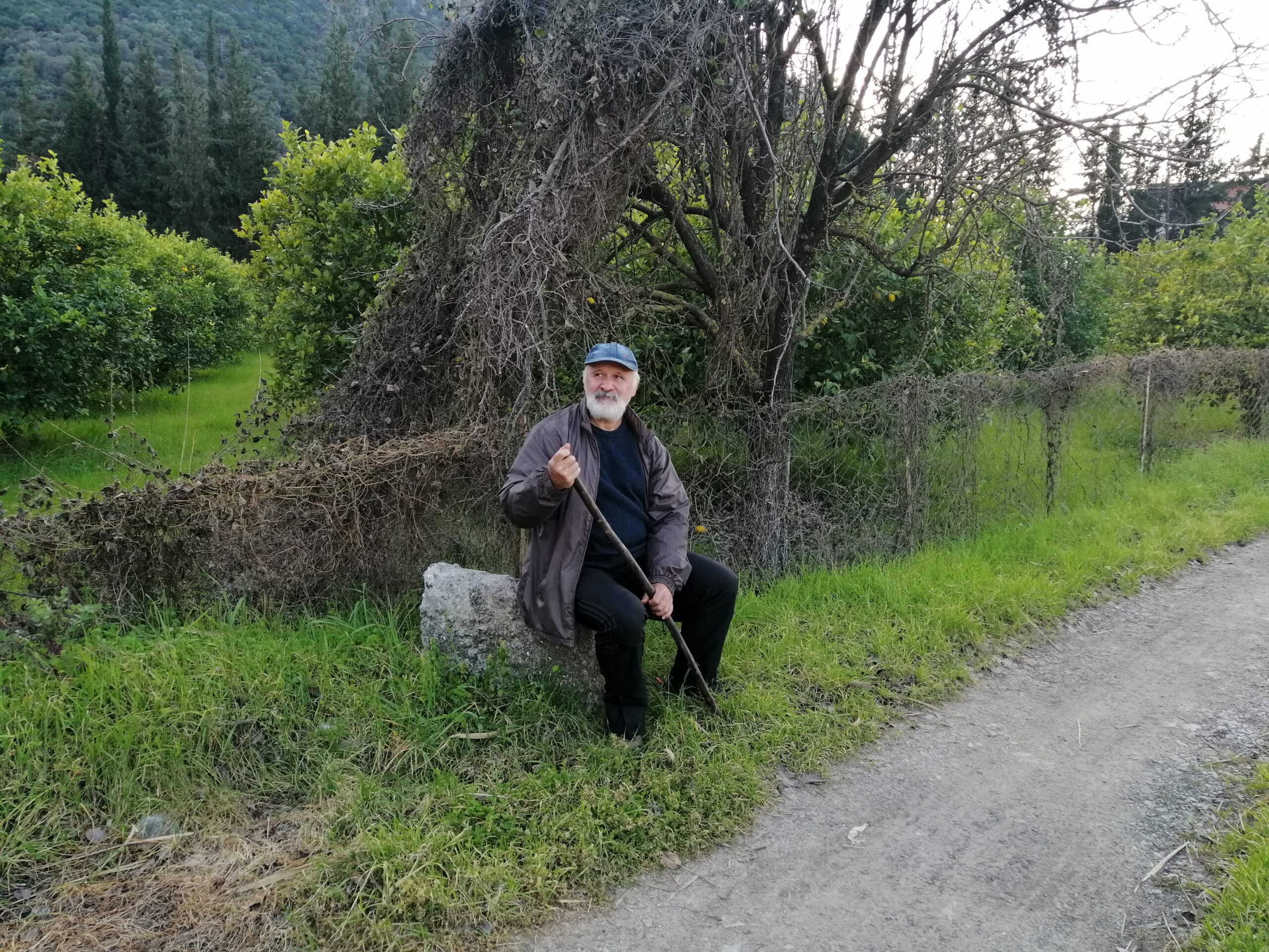 Uzun Bir Yaşantı İçin Doğada Pergelleri Çalıştıralım