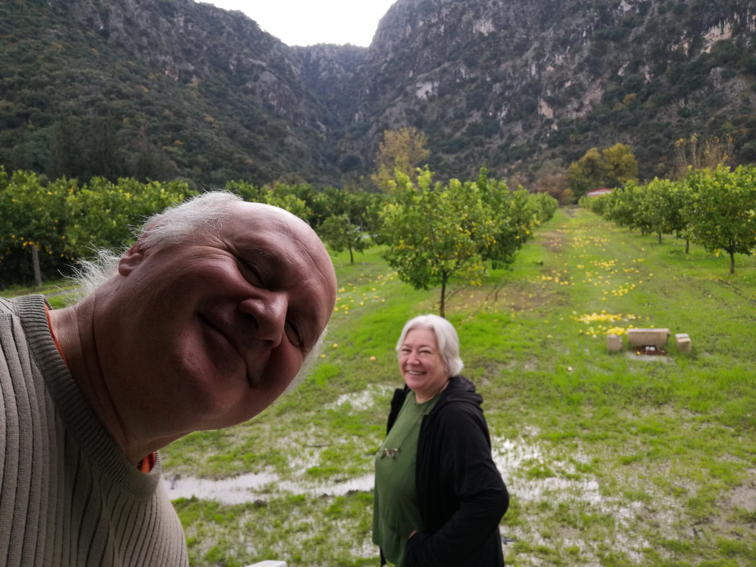 Hayat Yolları, Yollar ve Dalyan Bizi Çok Seviyor Nedense