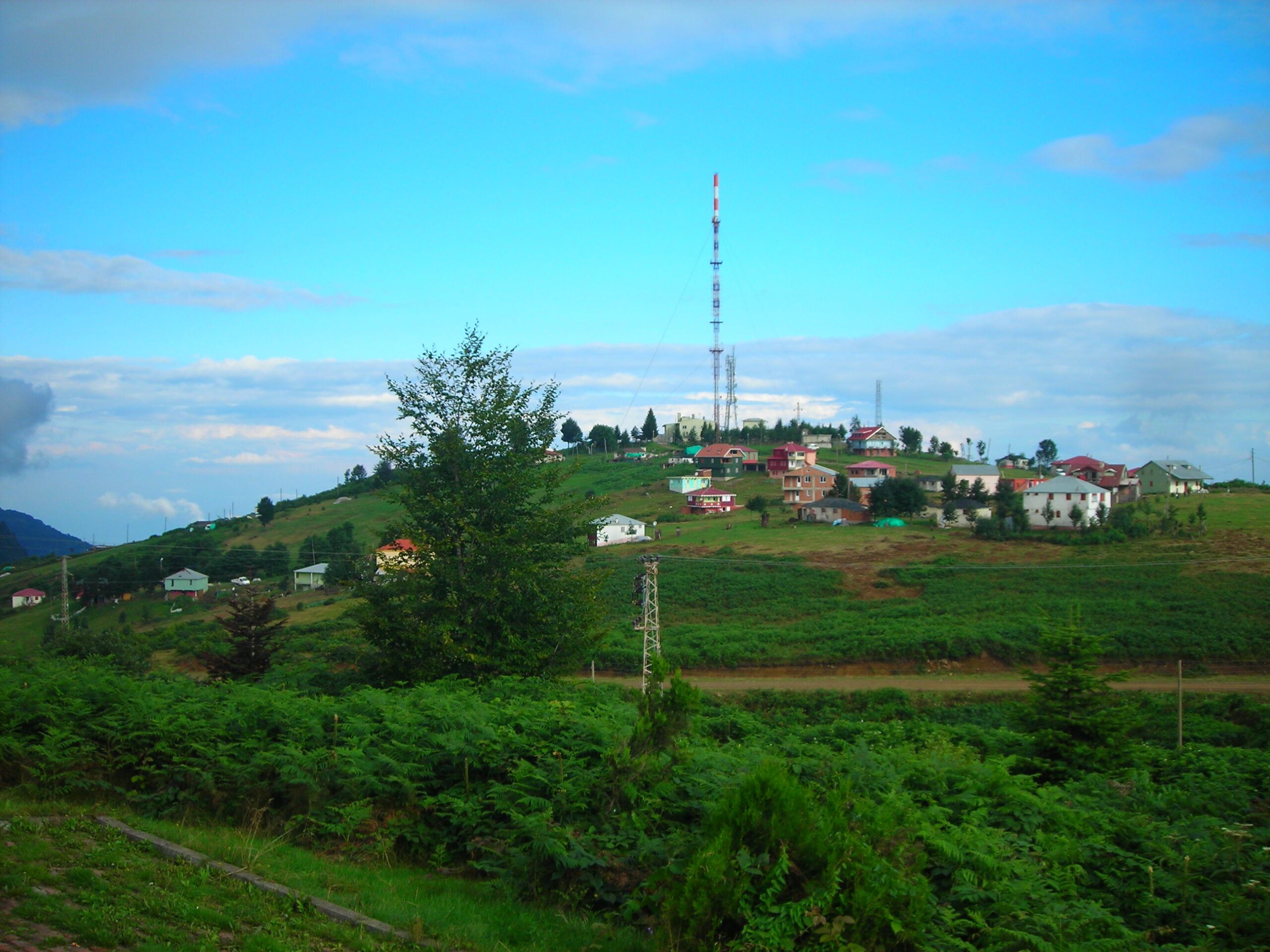 Yeşil Giysisiyle Ansızın Yayılan Susku