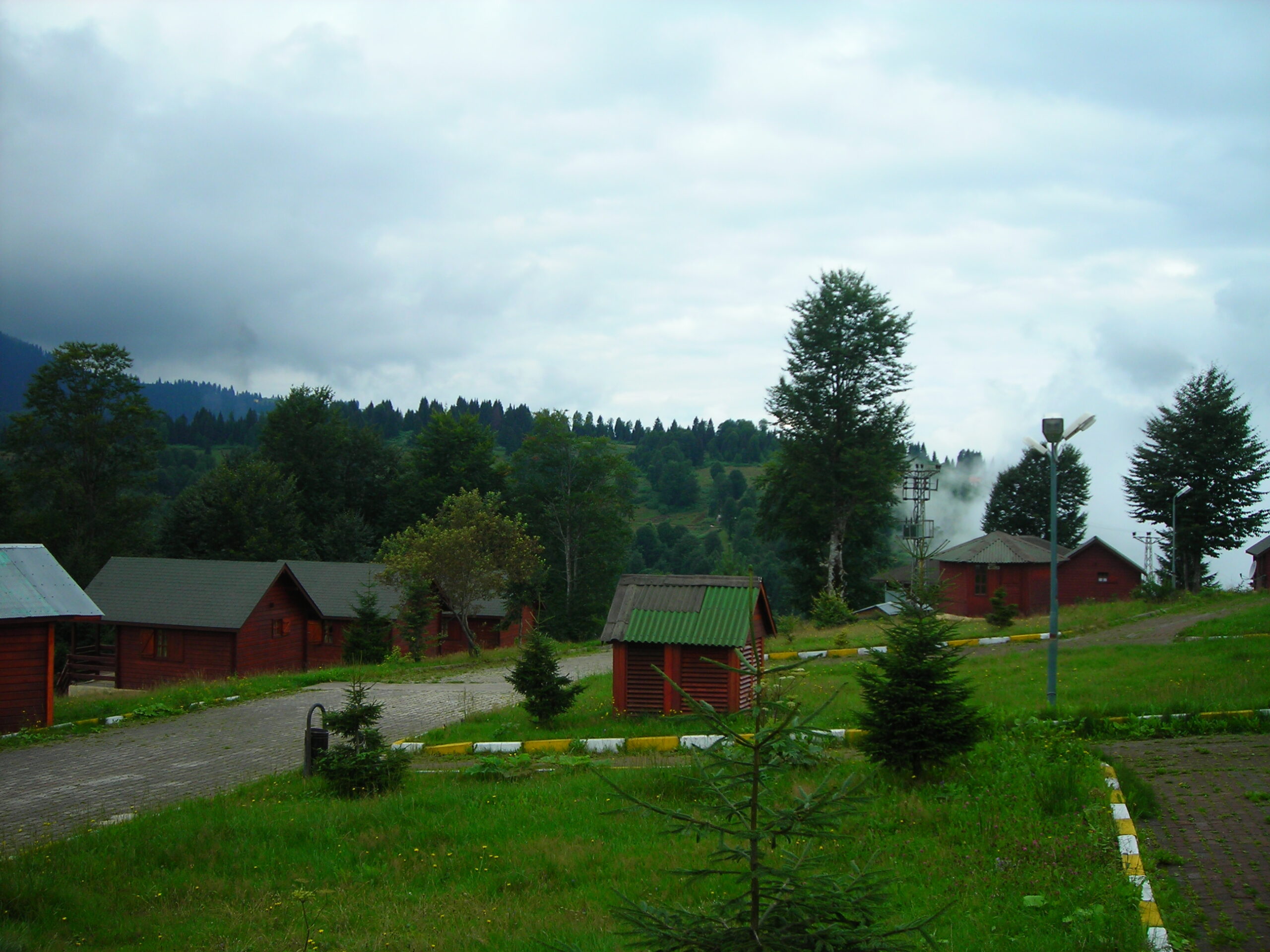 Bir Yeşilimtırak Sevda Dolanır Zümrüt Havada