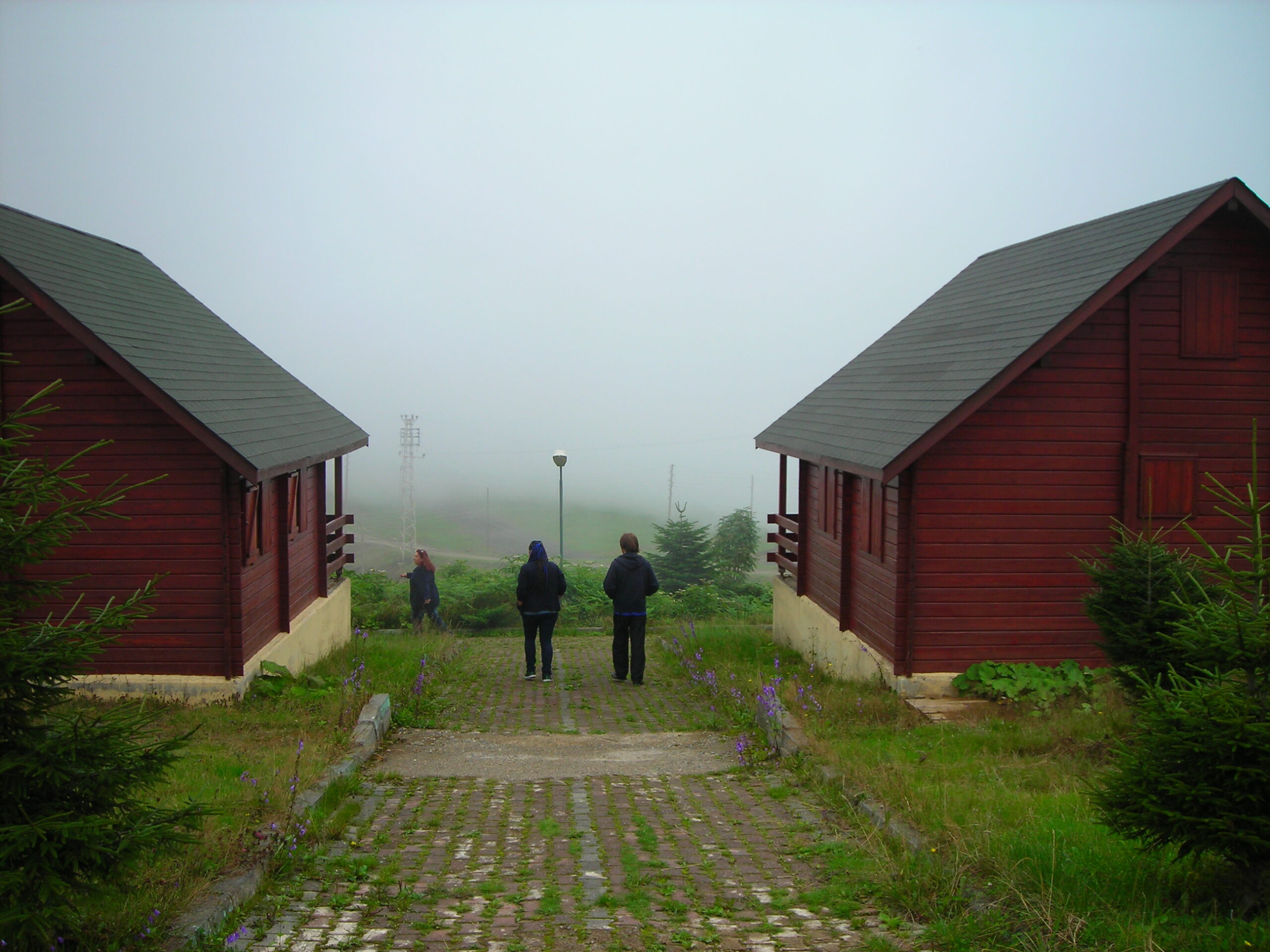 Sisli Sabahlar Kadar Buğulu Yaylalar