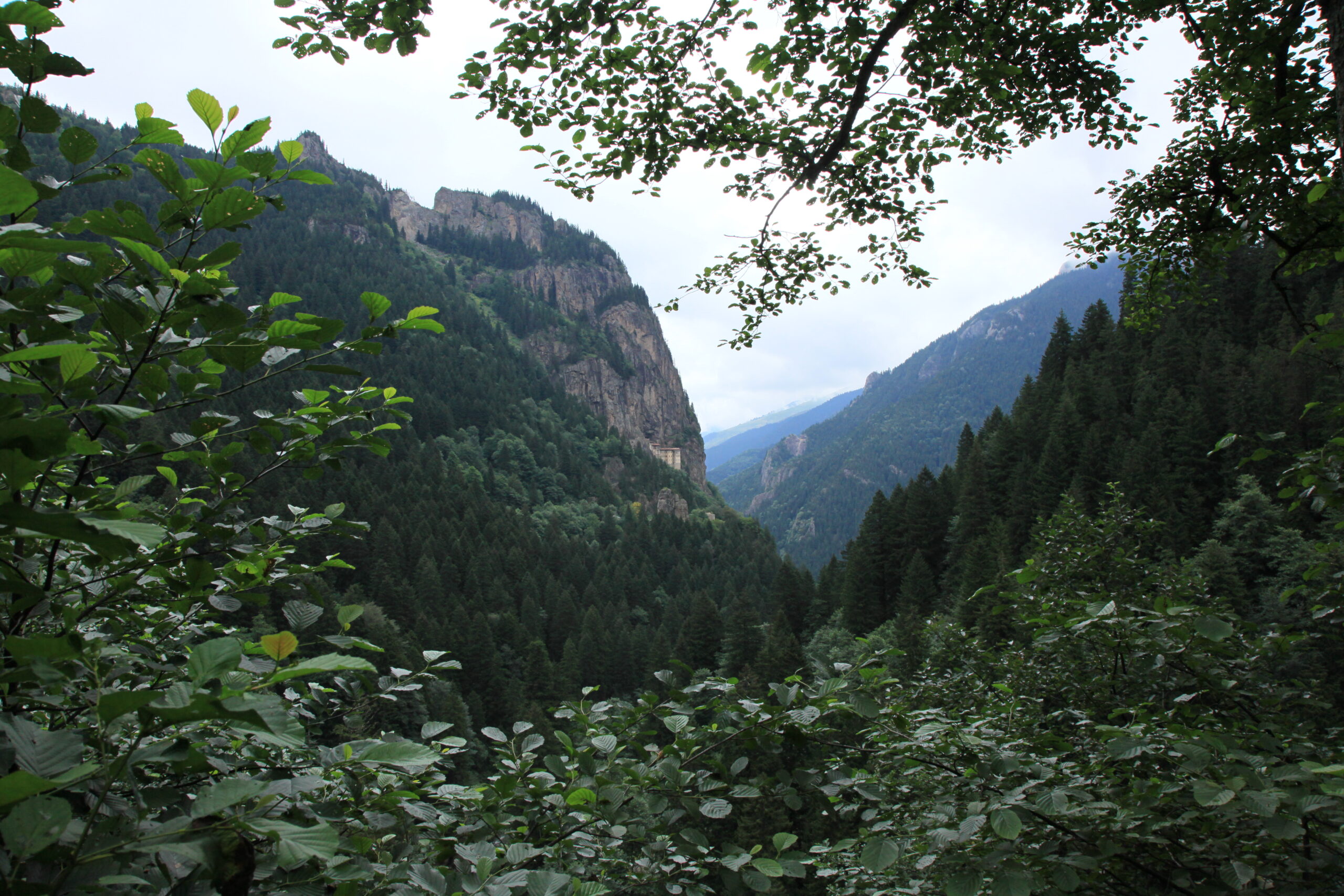 Yemyeşil Esintili Yaz Gününde Ulu Tepelerde