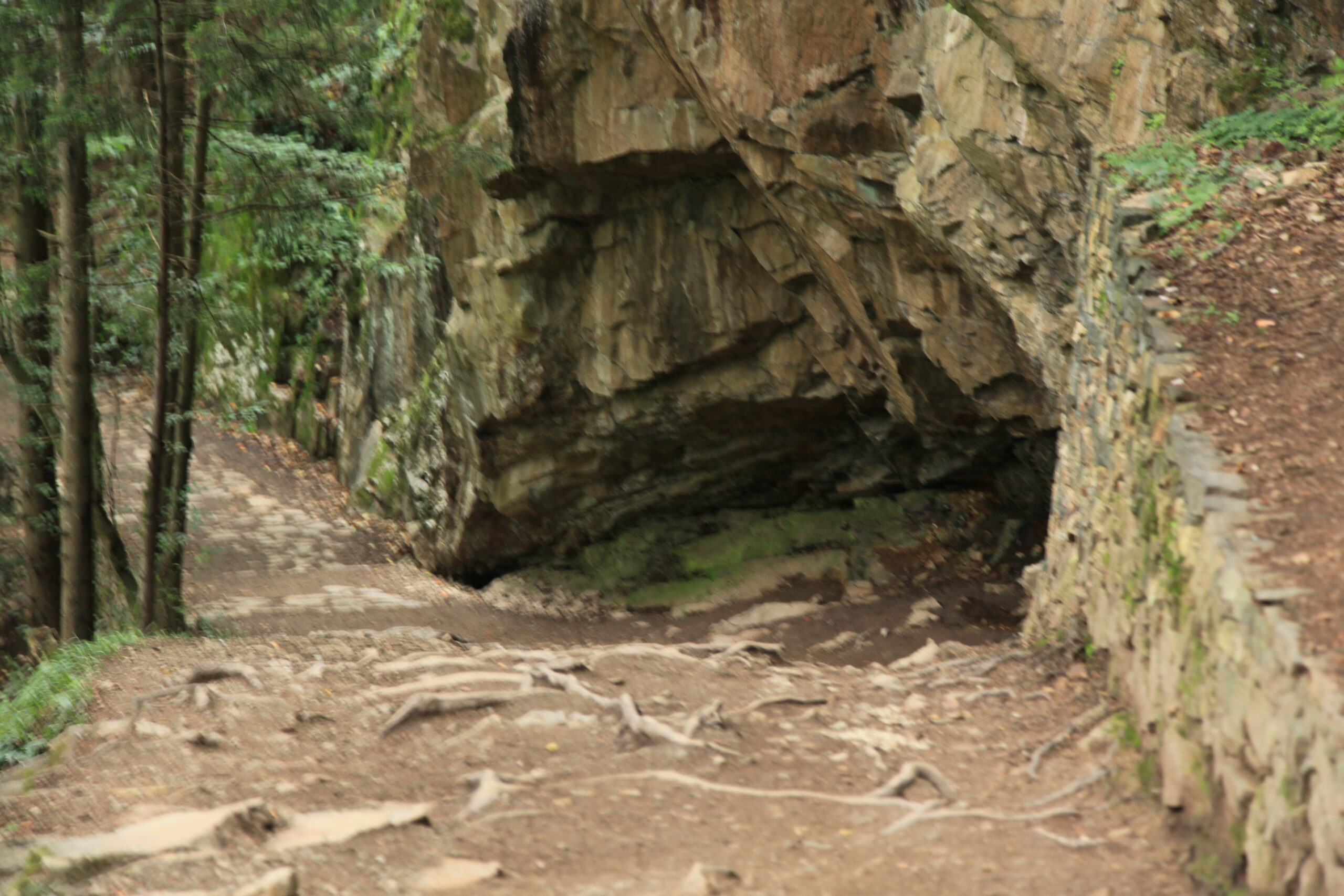 Sen Yaz Kampçısı Ol da Cırcır Böceği Desinler