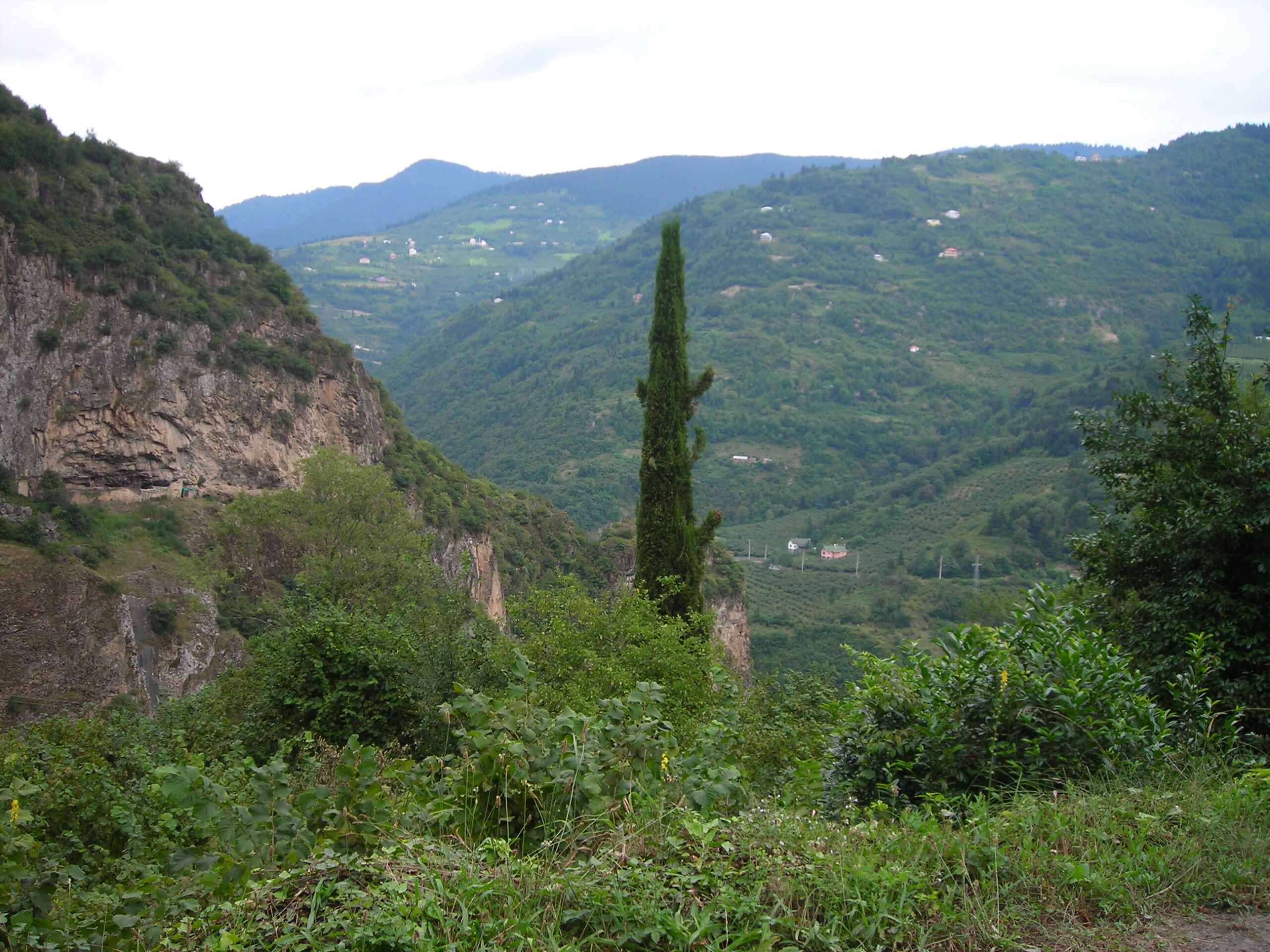 Sen Ağustos Ol da Bülbül Yuvası Desinler