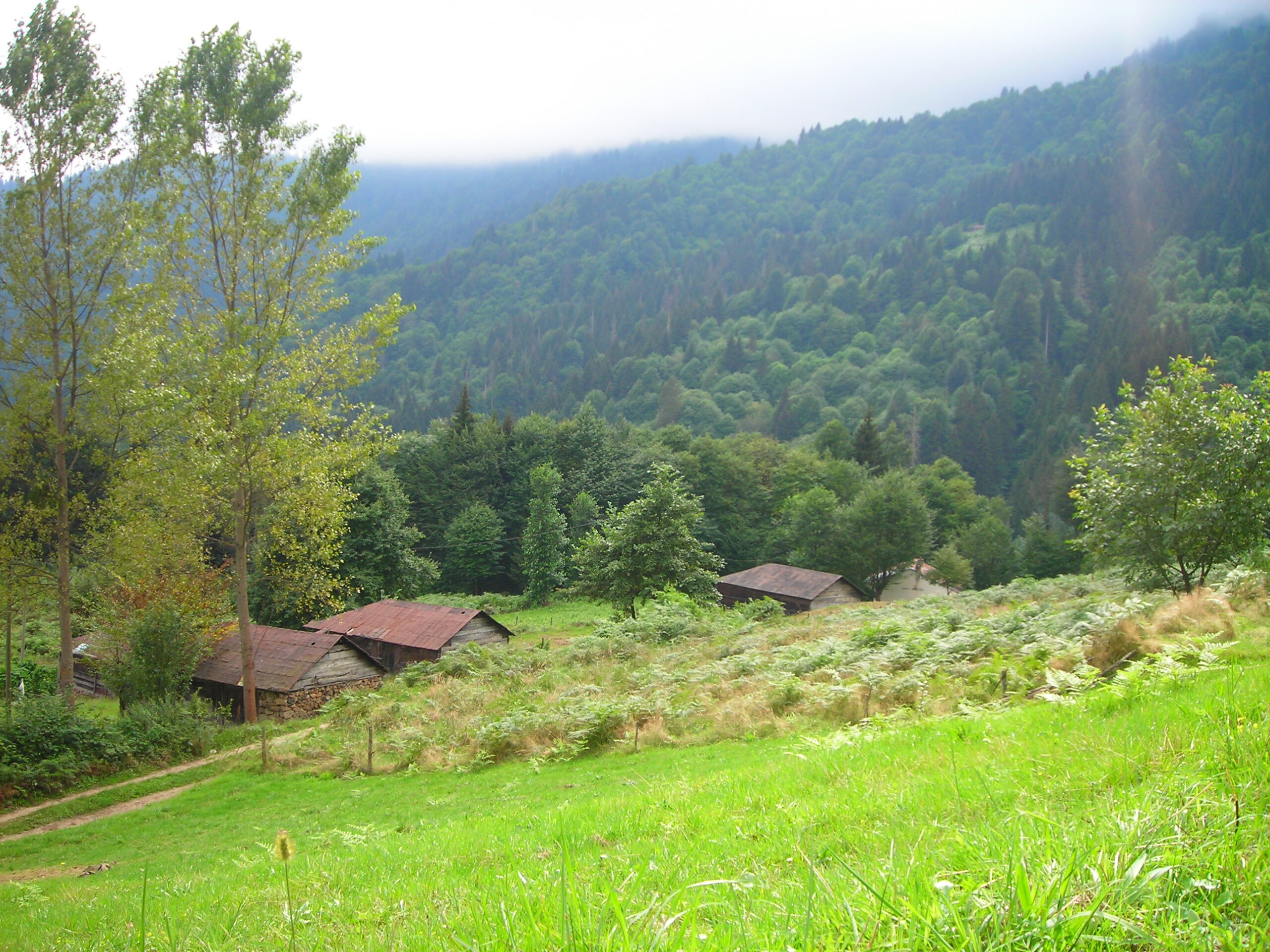 Masallar Diyarında Şimdi Onun Adı Son Yaz