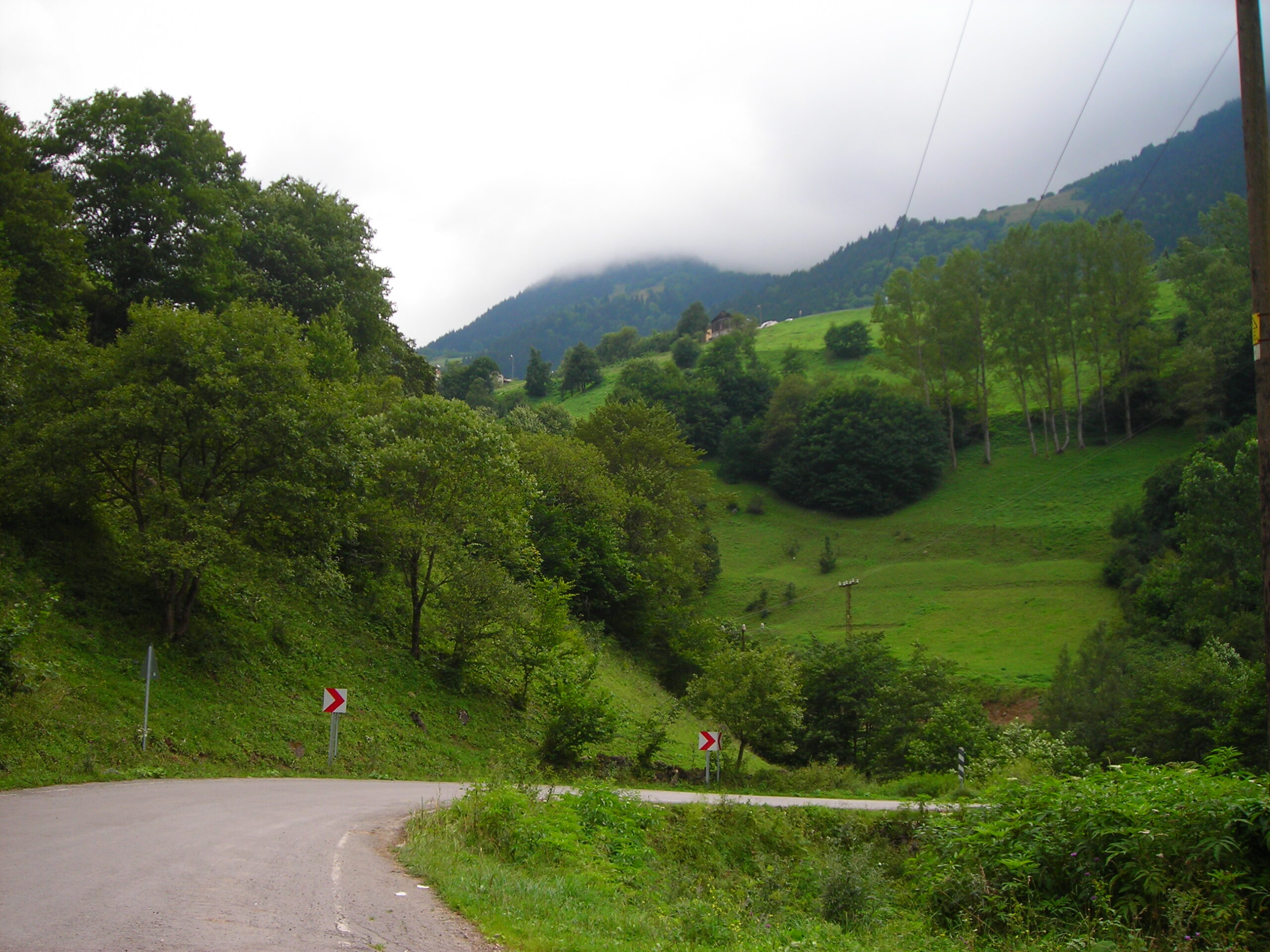 Açalım Yolları Kuş Olup Uçalım Kampımıza