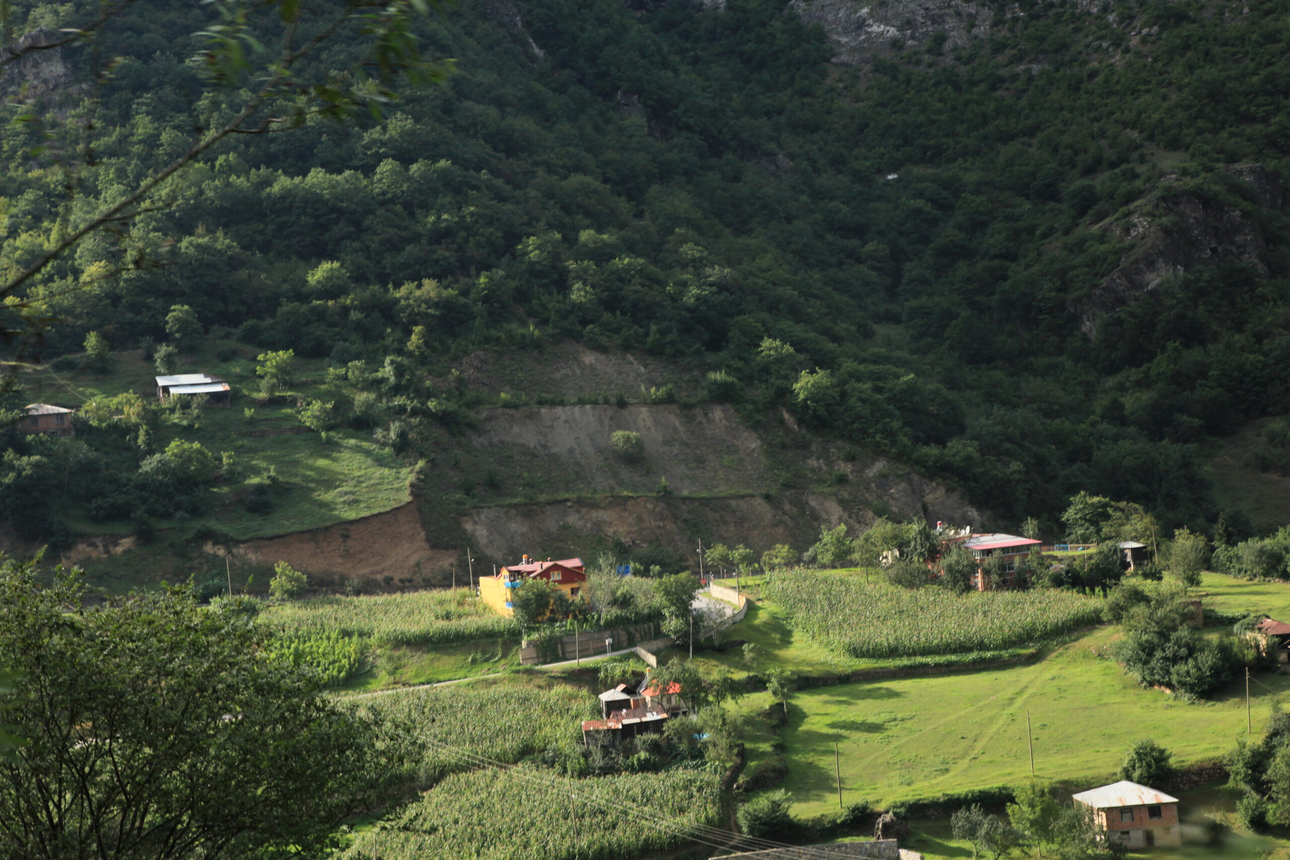 Yüreğimin İşine Geldi mi Demlemek İster Çayları