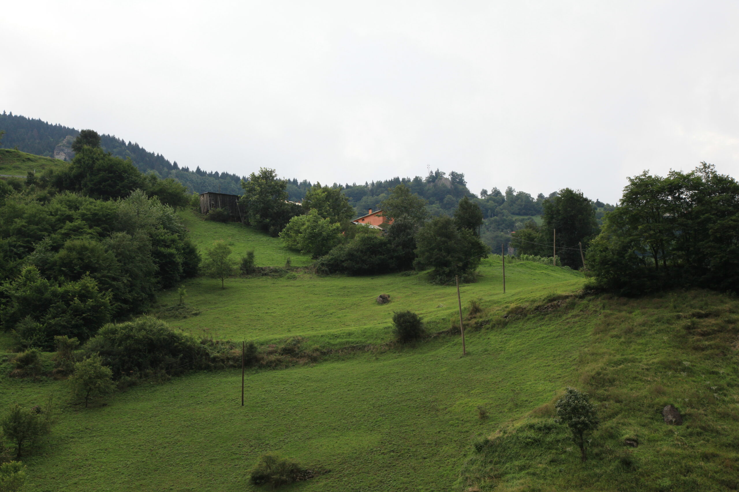 Bir Uzun Name Gibidir Hazanda Yaylaya Çıkmak