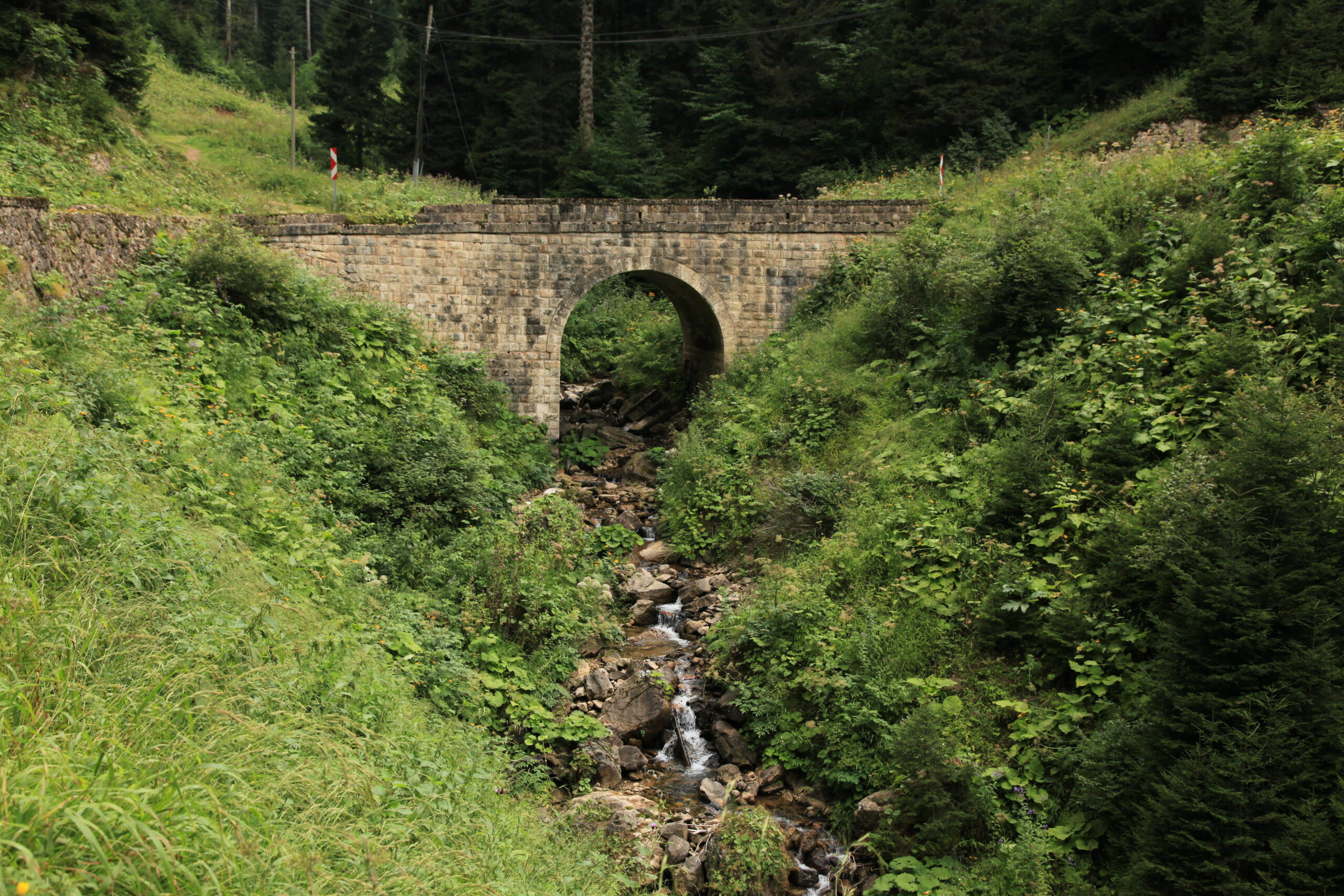 Taş Köprü Geçit Veriyor Raks Ediyor Sular