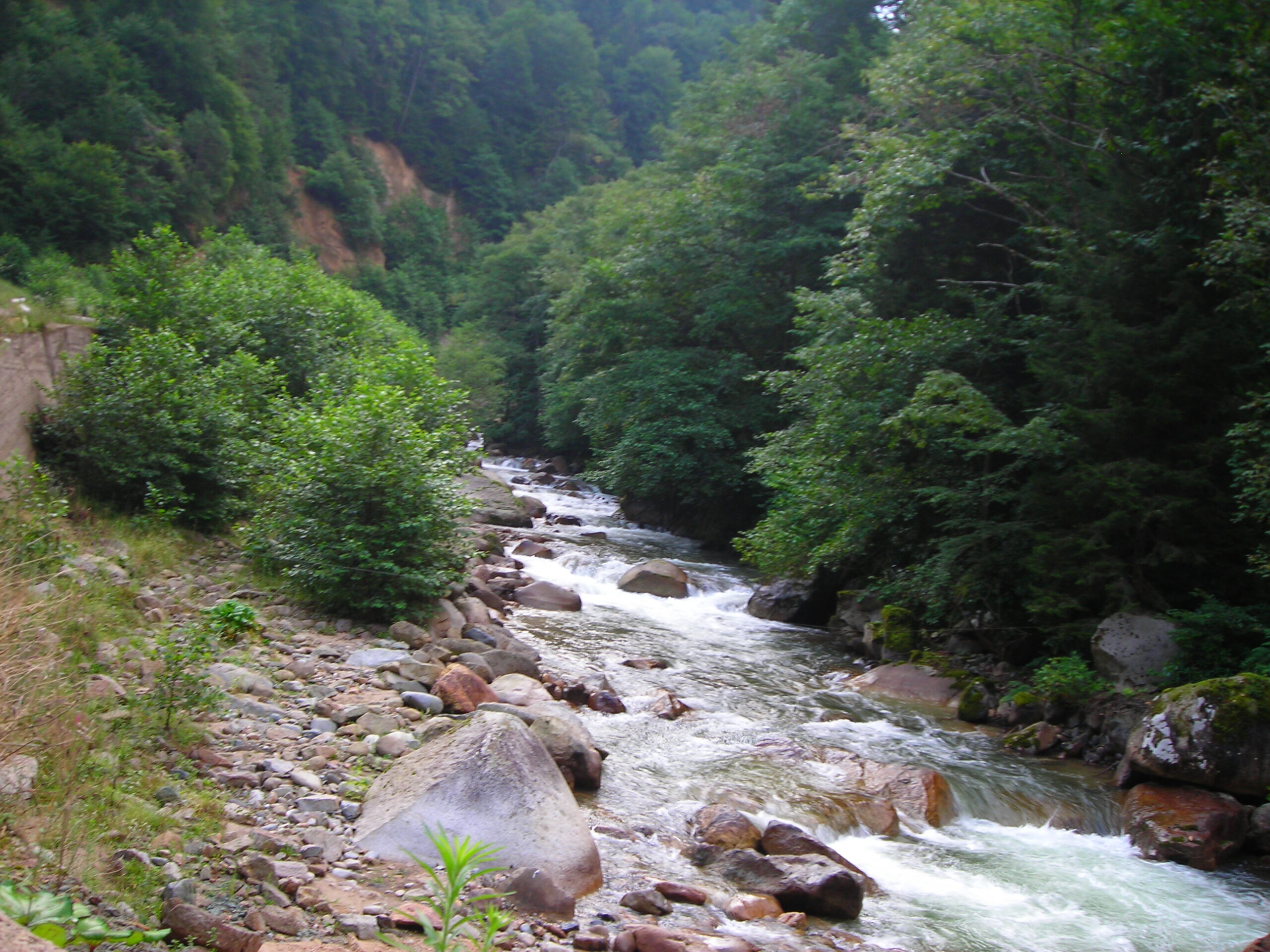 Her Bir Çakılında Adımlarımızın İzi