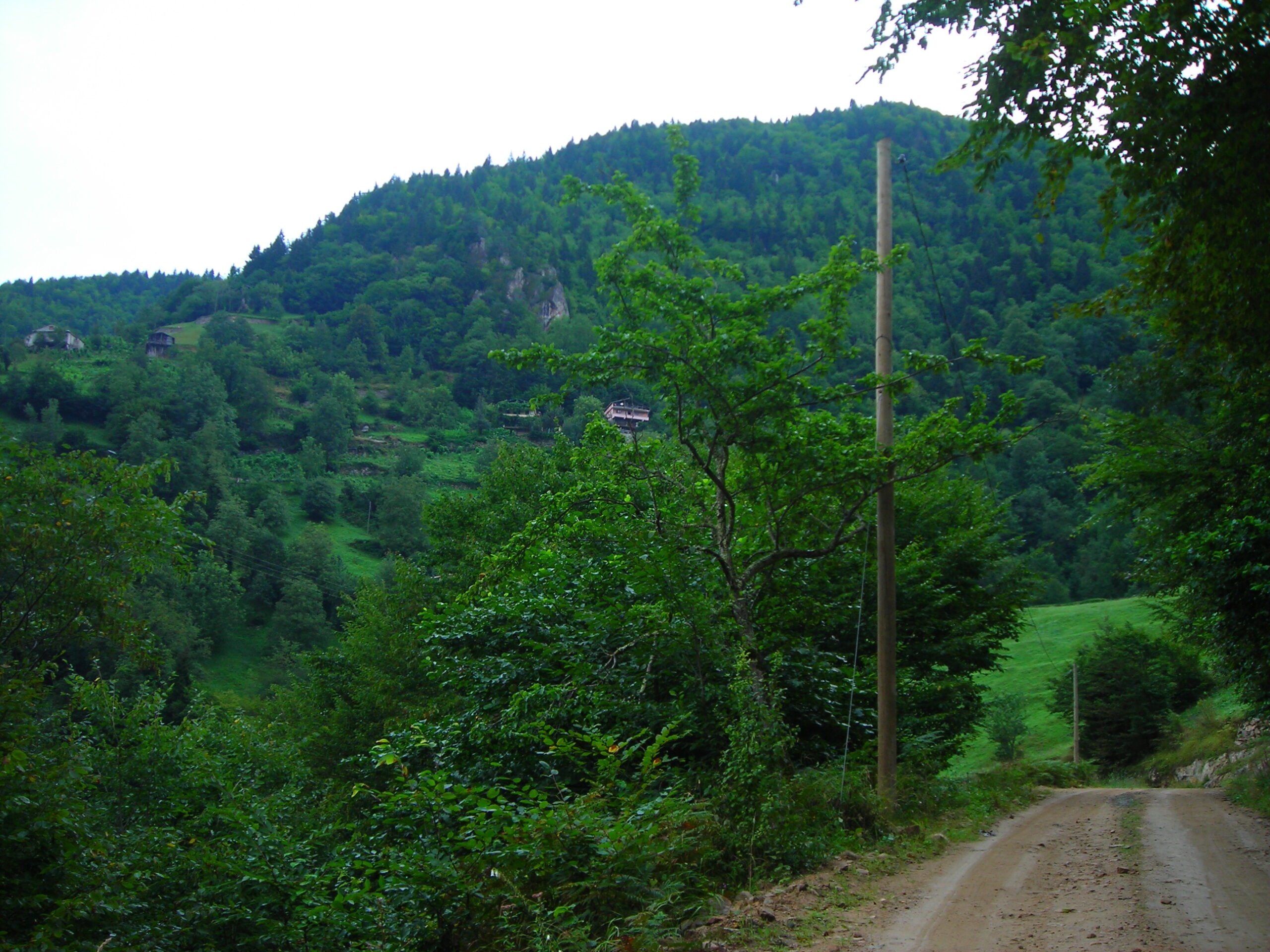 Fırından Çıkan İsli Kokuyu Kovala Yola Koyul
