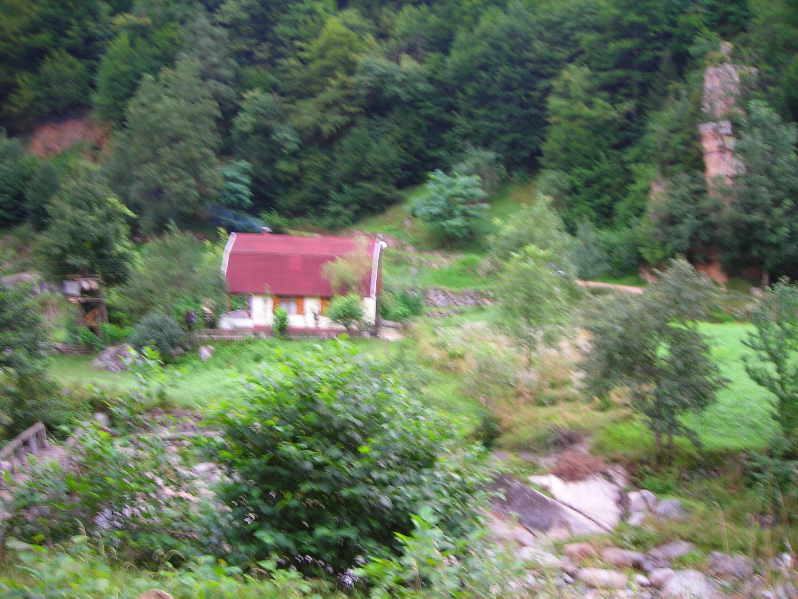 Yabani Ot Toplama Mikro Macera Şöleni