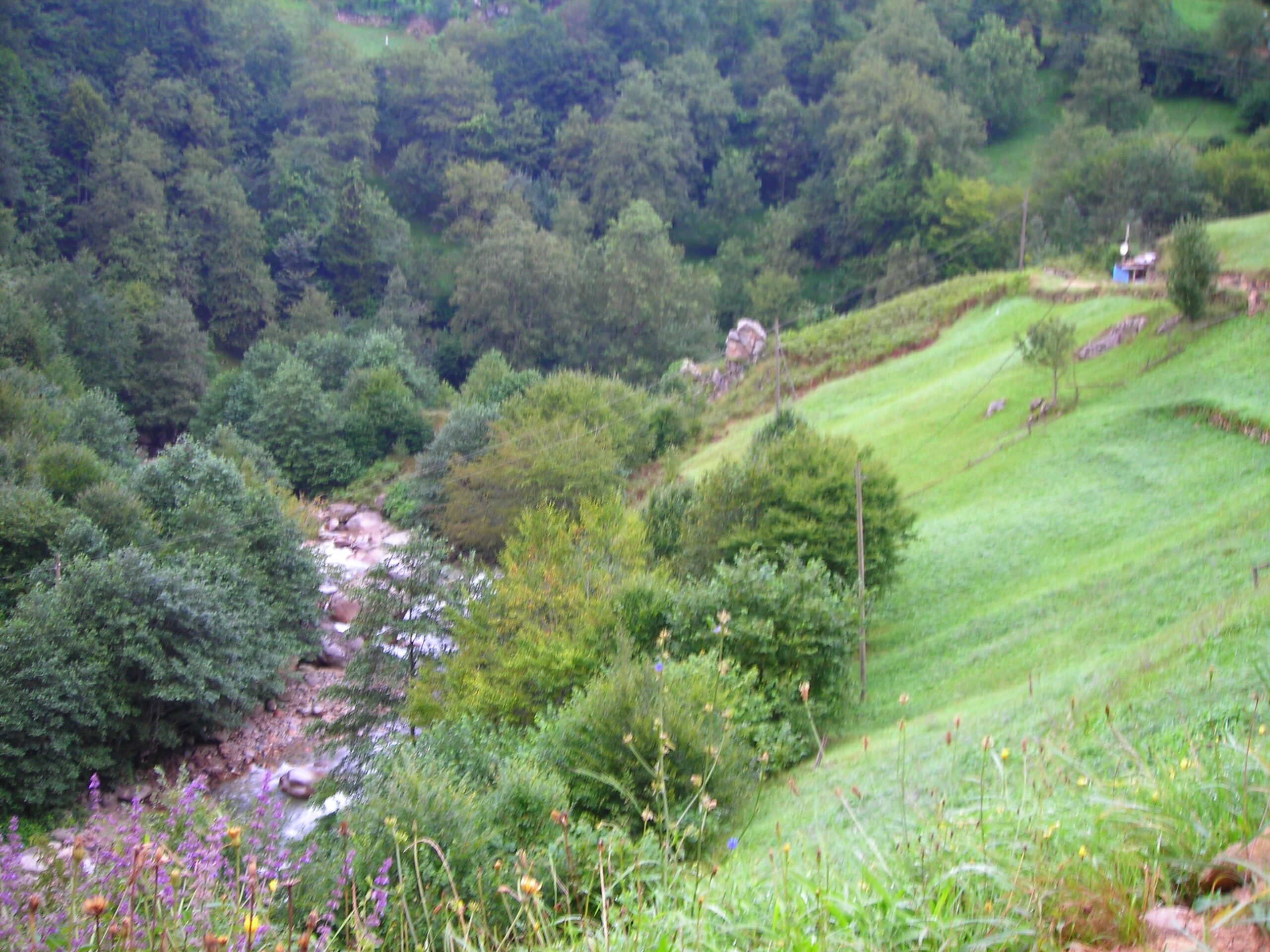 Mikro Macerada Yerel Tarih Dedektifliği