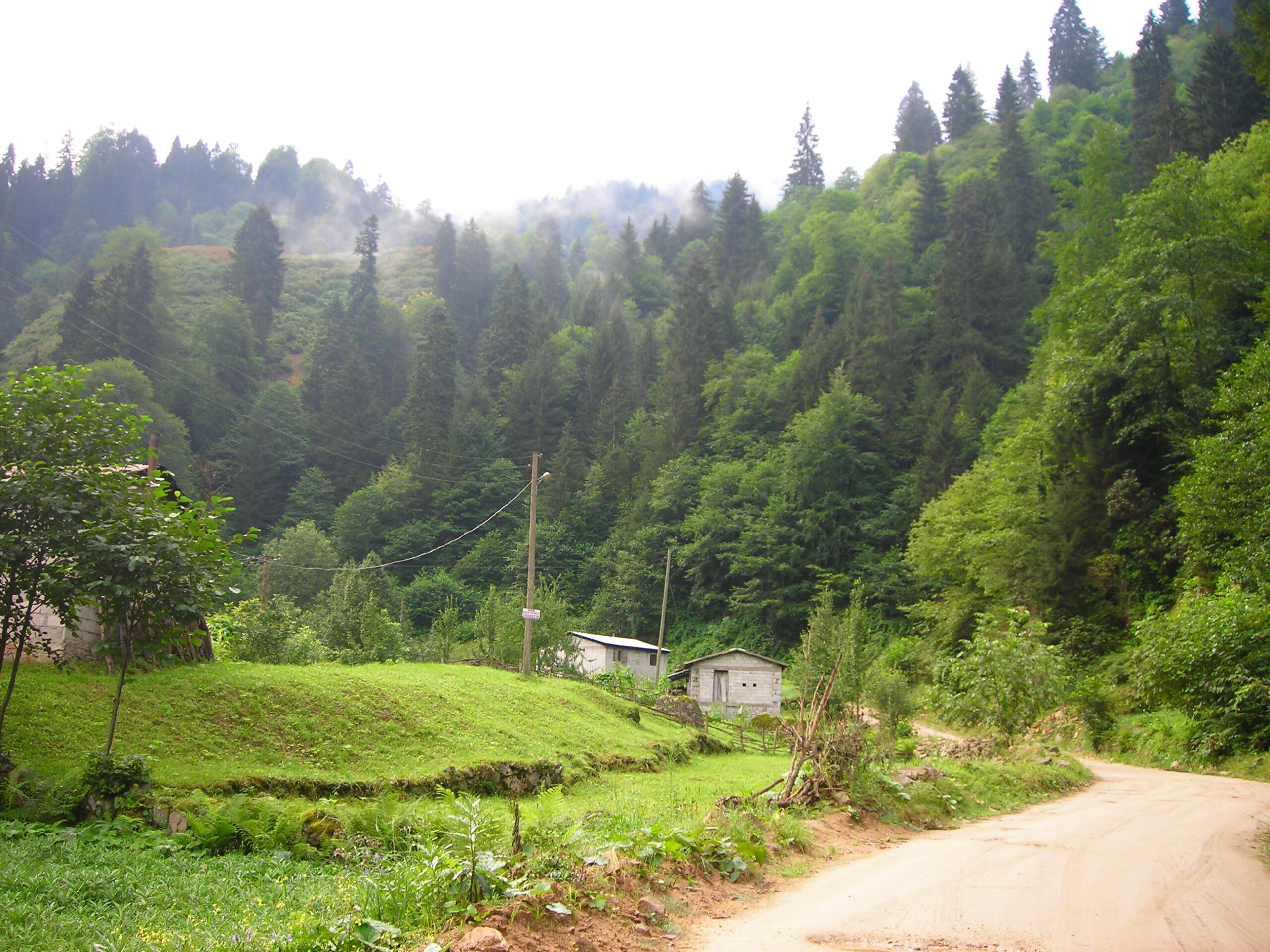 Aydınlık Saatlerde Foto Yayla Mikro Macerası