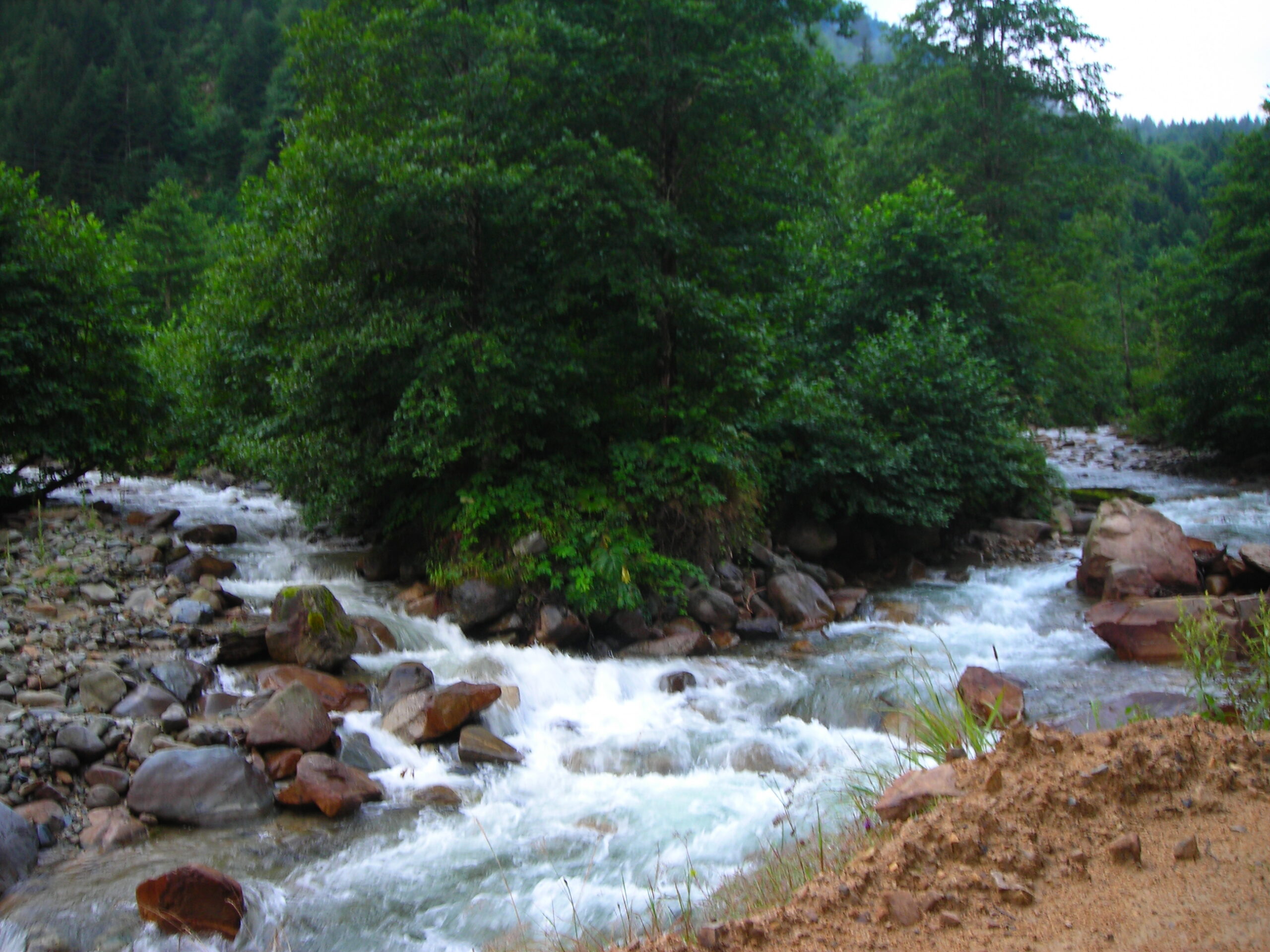 Nehir Takip Oyununun Her Kıvrımında Yepisyeni Sürprizler