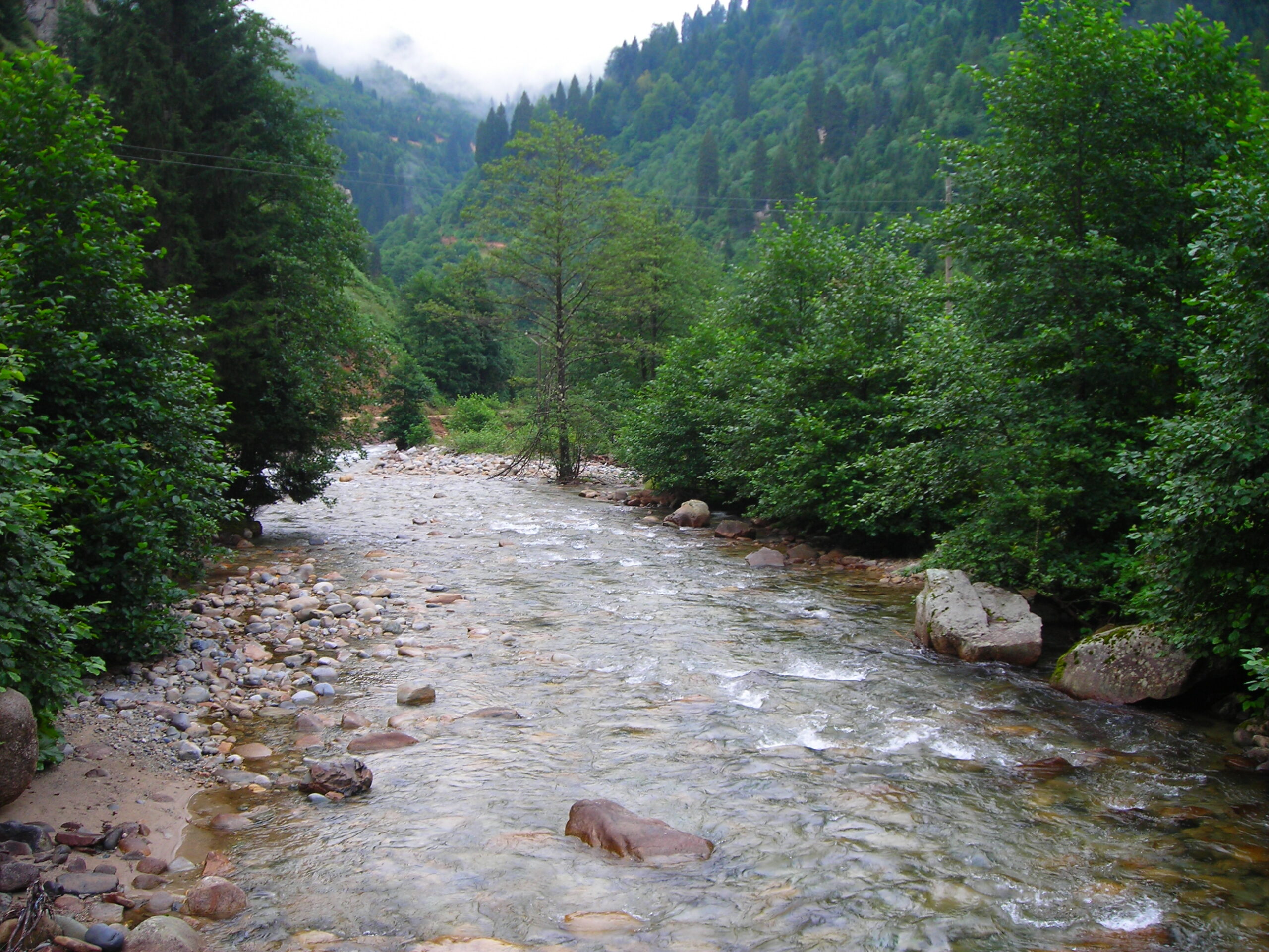 Perspektif Değişimi Garantili Mikro Nehir Macerası