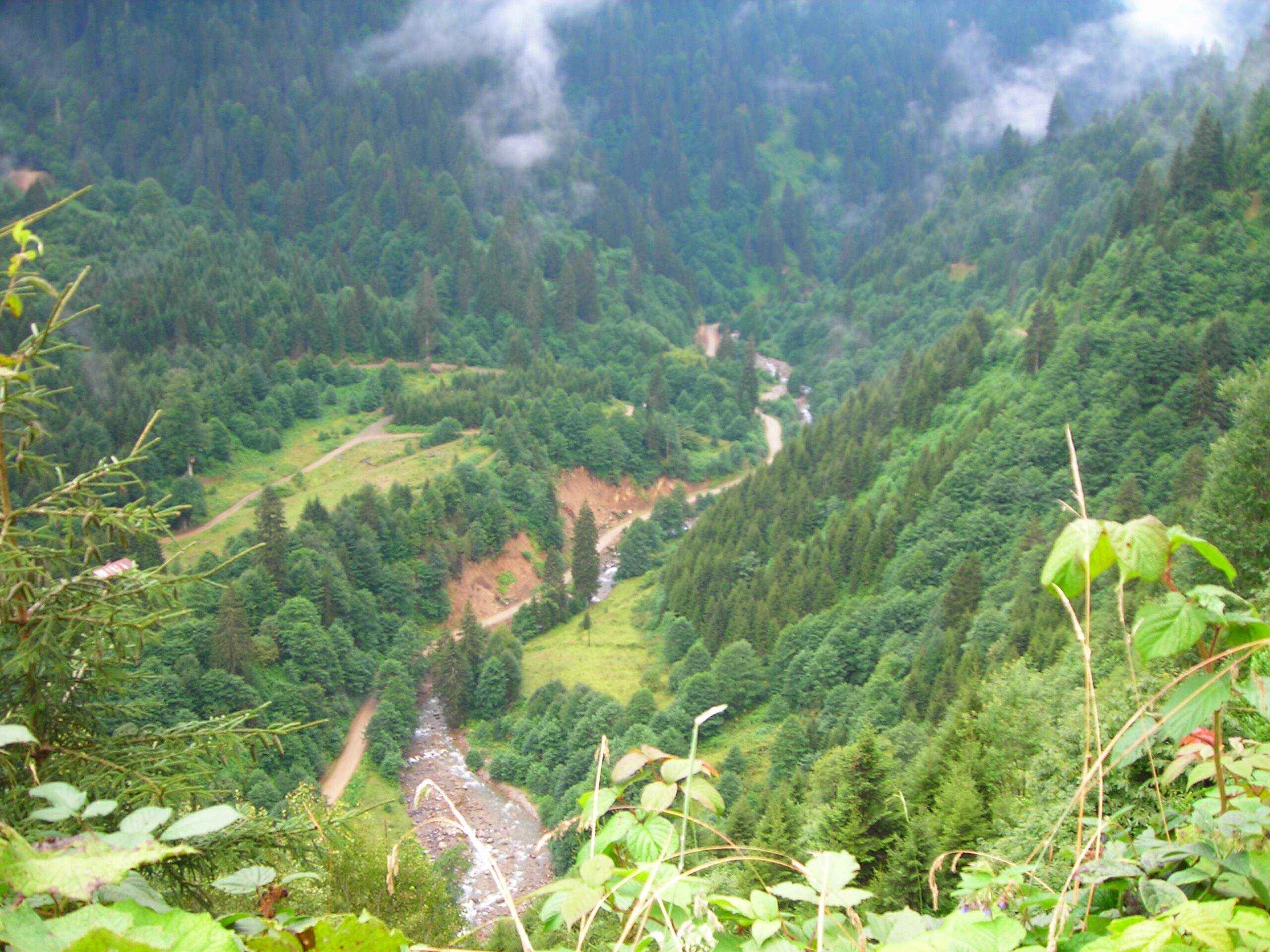 Sessizlik Yürüyüşünde Ayak Seslerine Karışan Kuş Cıvıltısı ve Rüzgâr