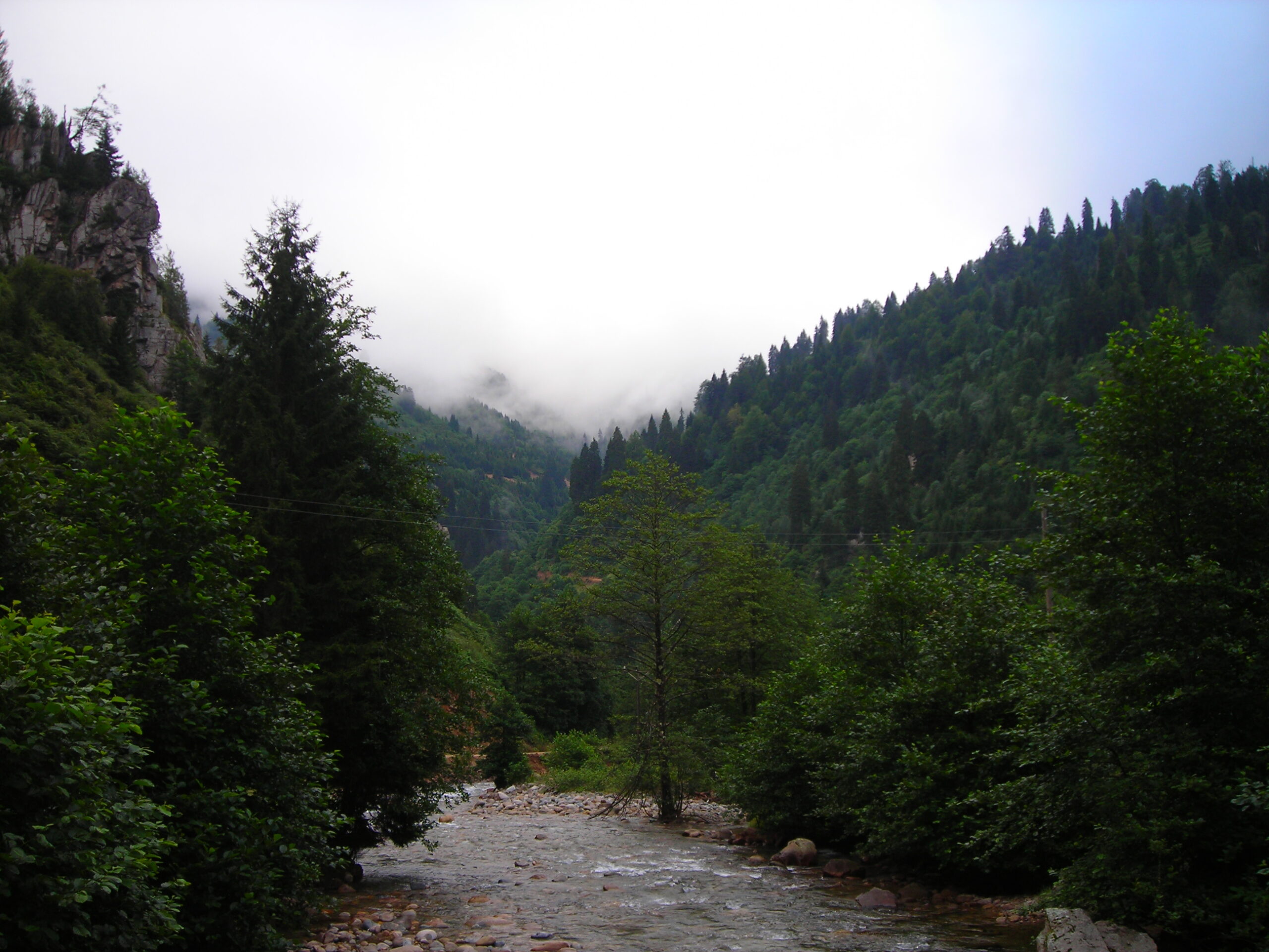 Gerçek Serüvenci Bildiğini Sandığı Doğada Dahi Yabancı Kalandır