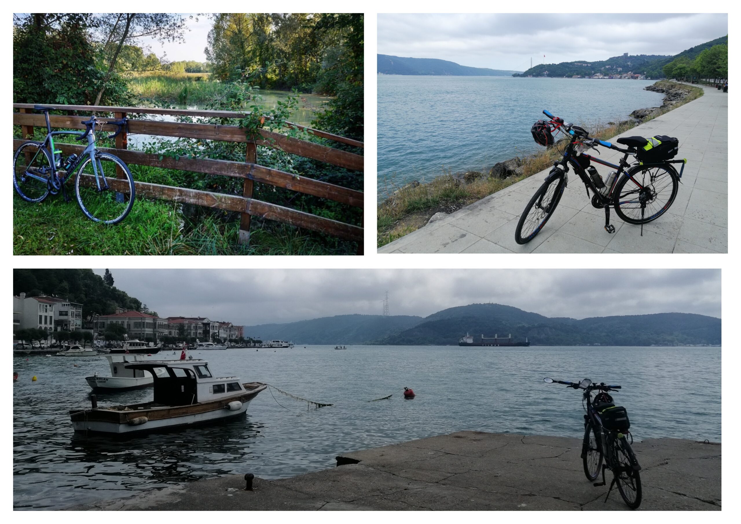 AĞUSTOS 2024: AYLIK FİNANSAL RAPOR