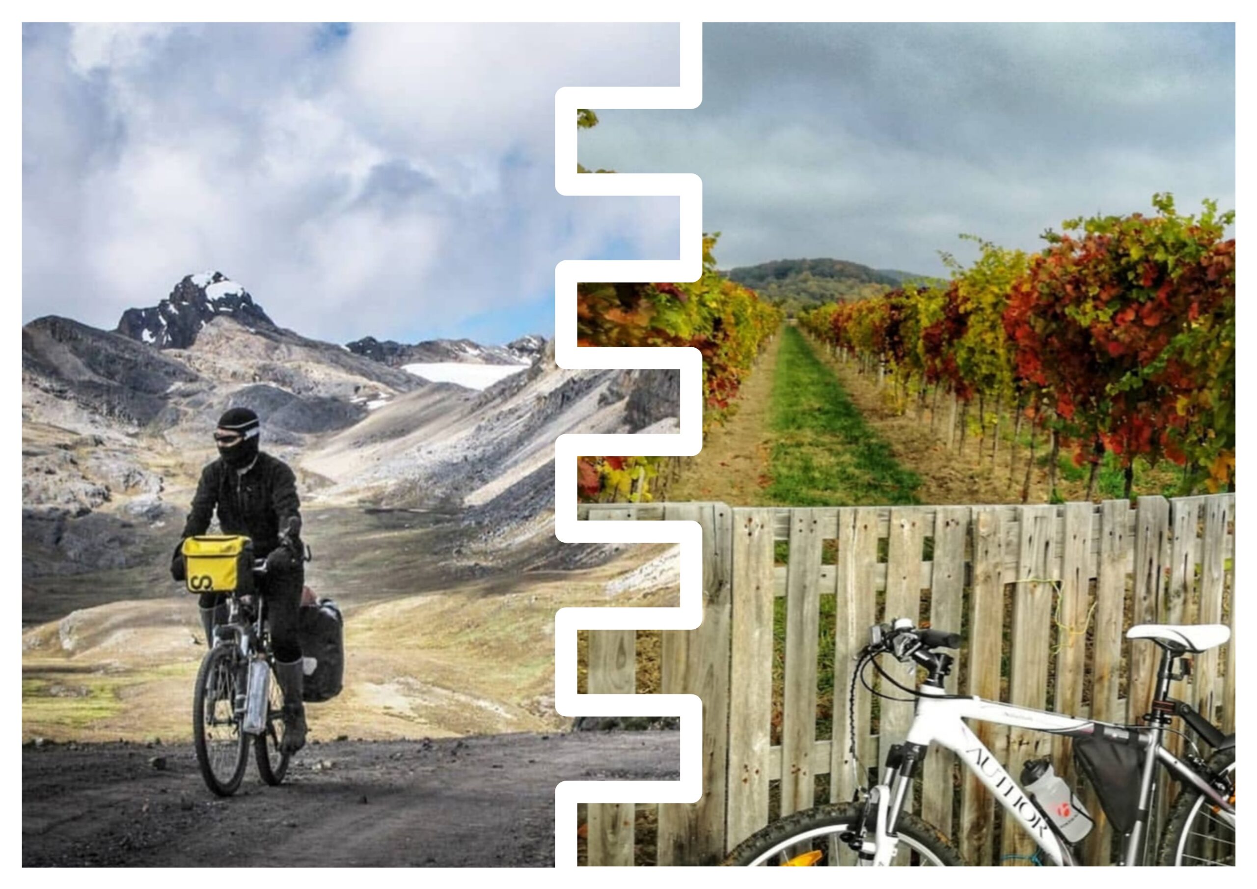 ARALIK 2024: AYLIK FİNANSAL RAPOR