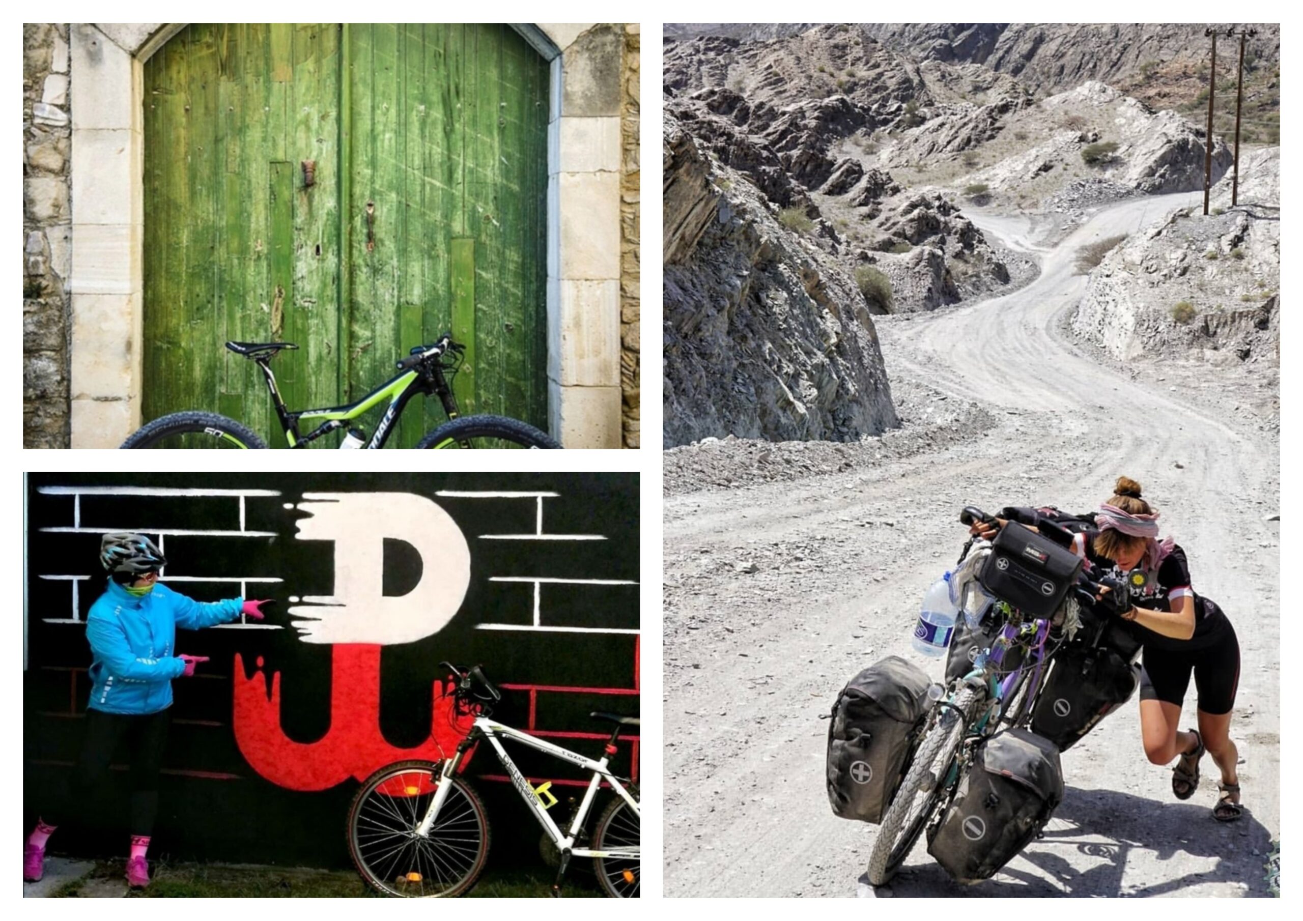 YILLIK MALİ RAPOR ~ 2024