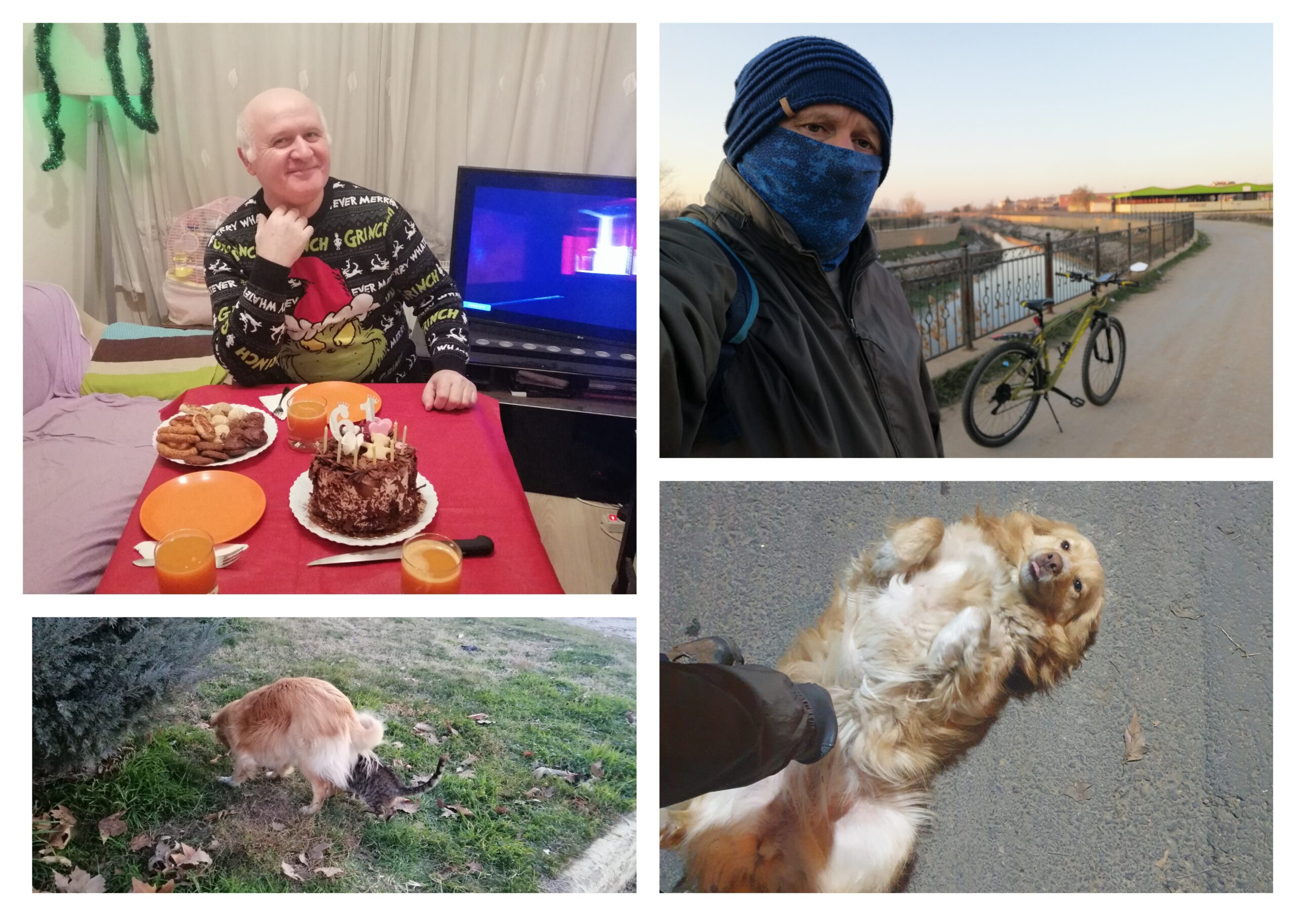 ŞUBAT 2025: AYLIK FİNANSAL RAPOR