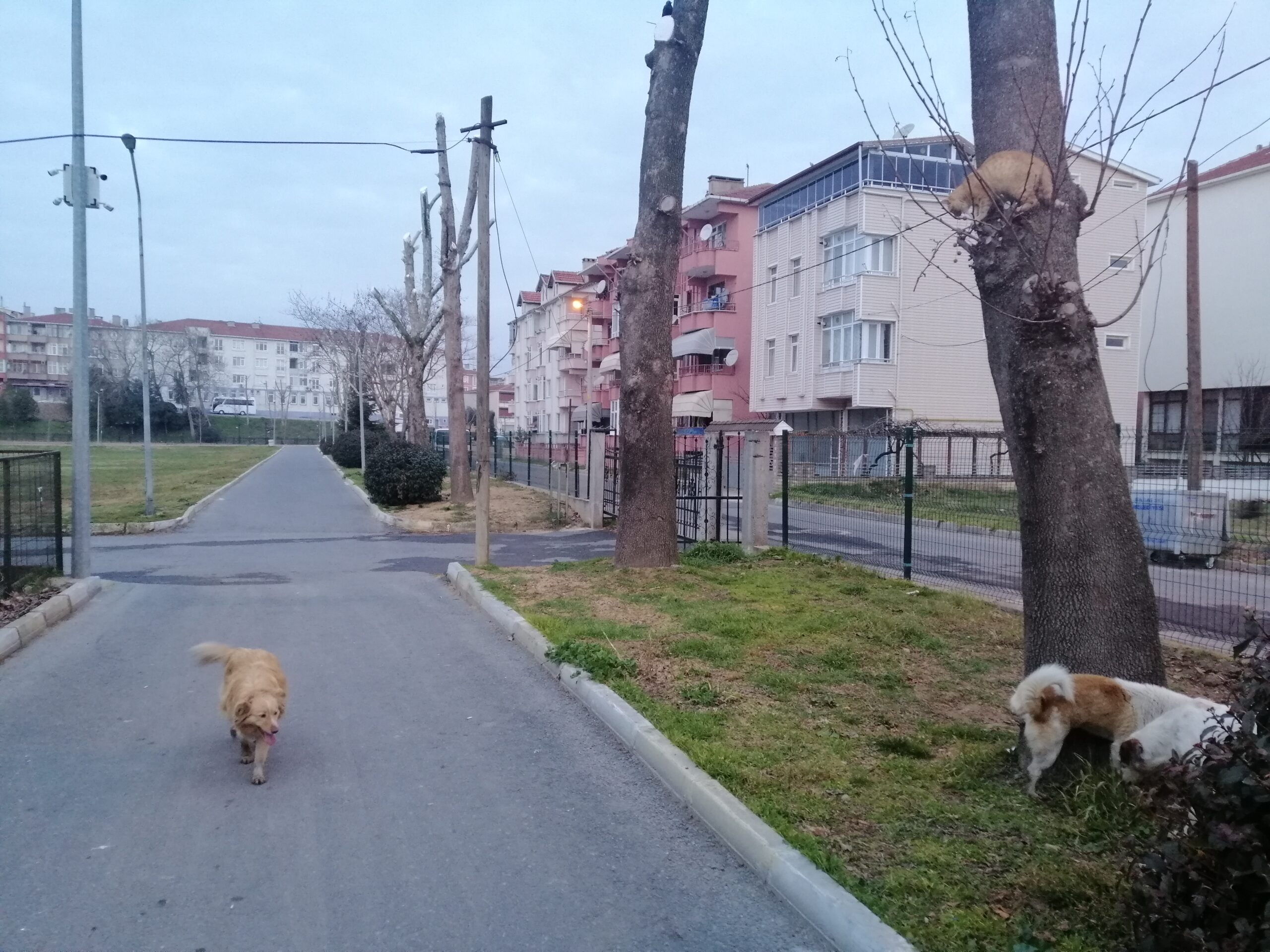 MART 2025: AYLIK FİNANSAL RAPOR