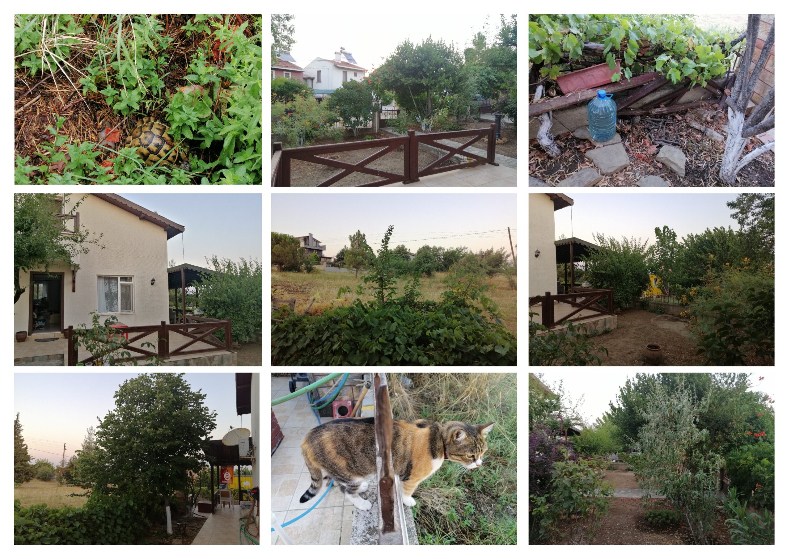 TEMMUZ 2025: AYLIK FİNANSAL RAPOR