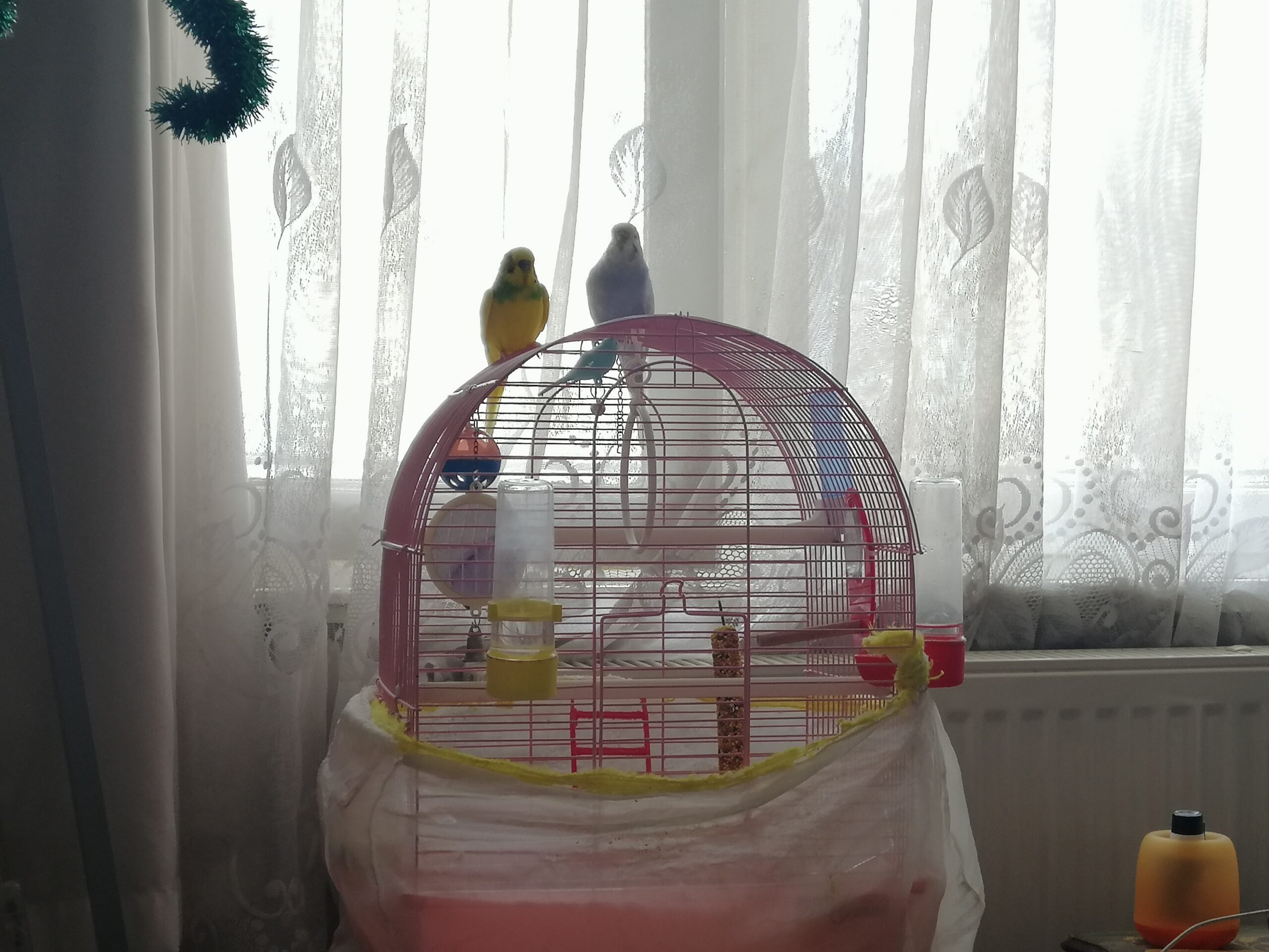 MART 2025: TUR ÖZETİ & BİLGİLENDİRME